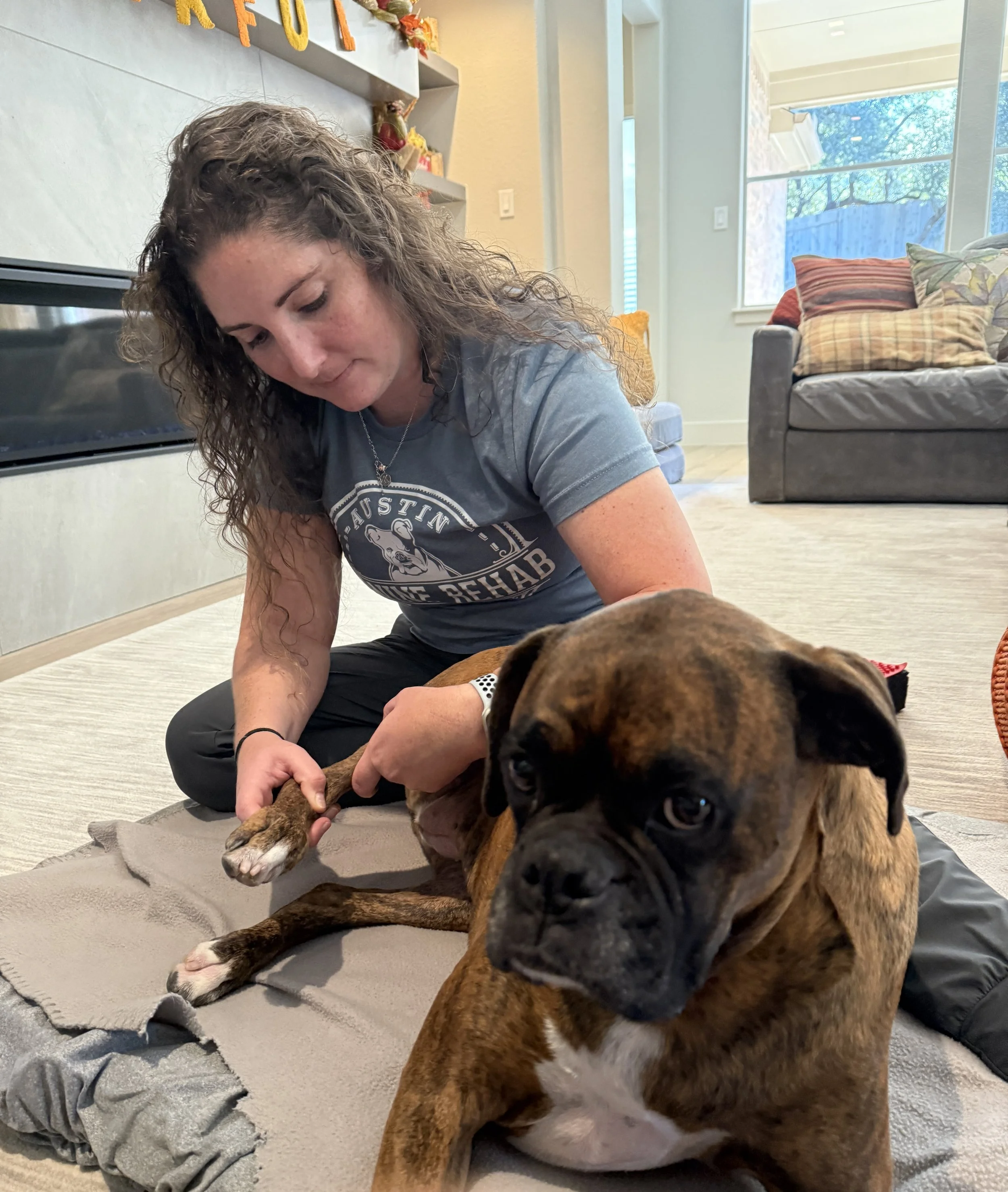 dog with therapist