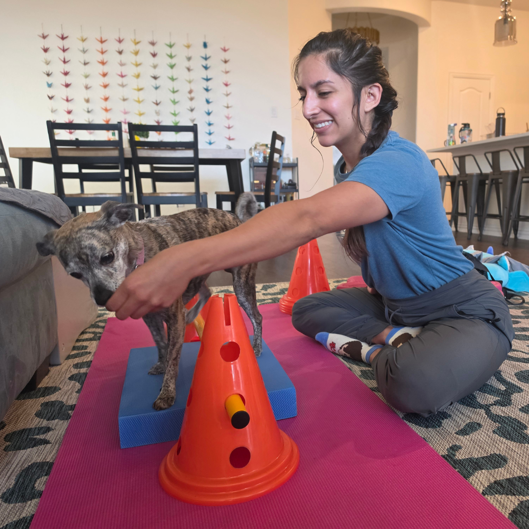 Therapist with Dog