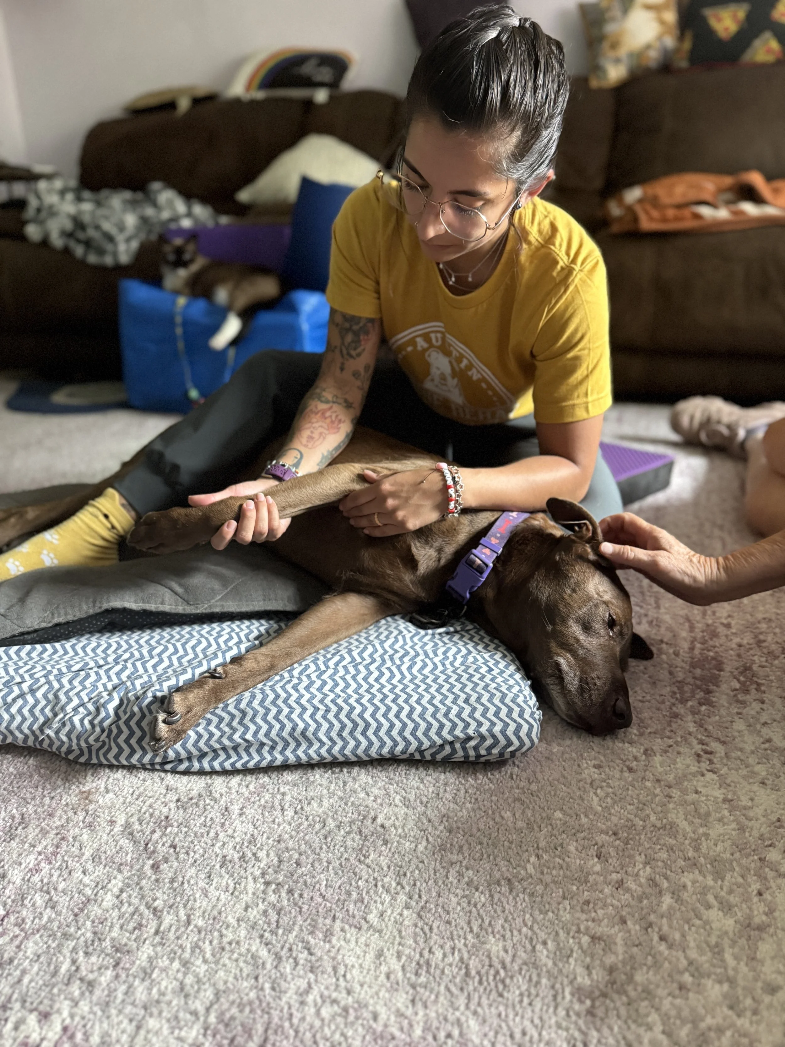 therapist with dog