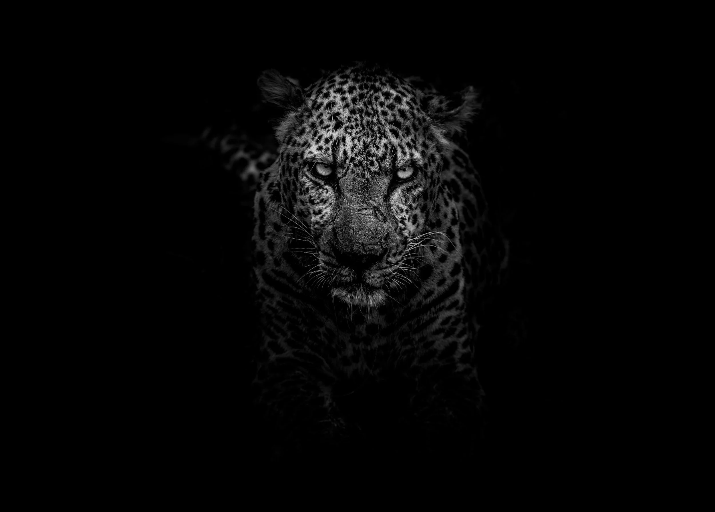 How to Reclaim Your Power: A Shamanic Guide to Overcoming Fear