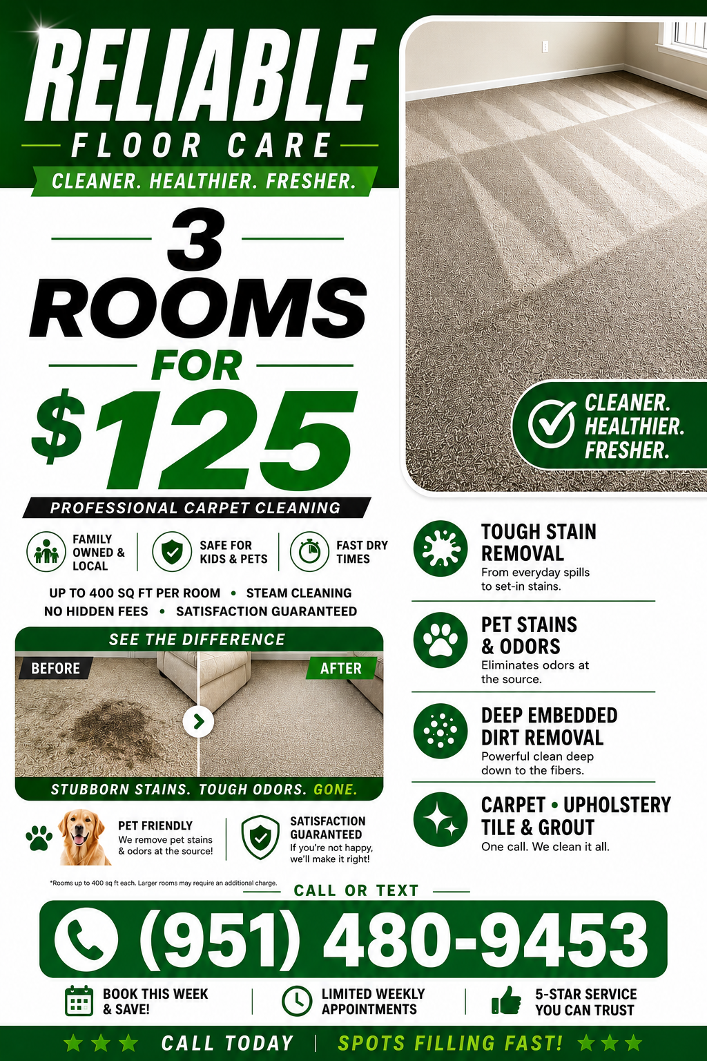 A flyer advertising professional carpet cleaning for three rooms at $125. It highlights cleaning features like tough stain removal, pet stain and odor elimination, deep dirt removal, and cleaning for carpet, upholstery, tile, and grout. The flyer inc