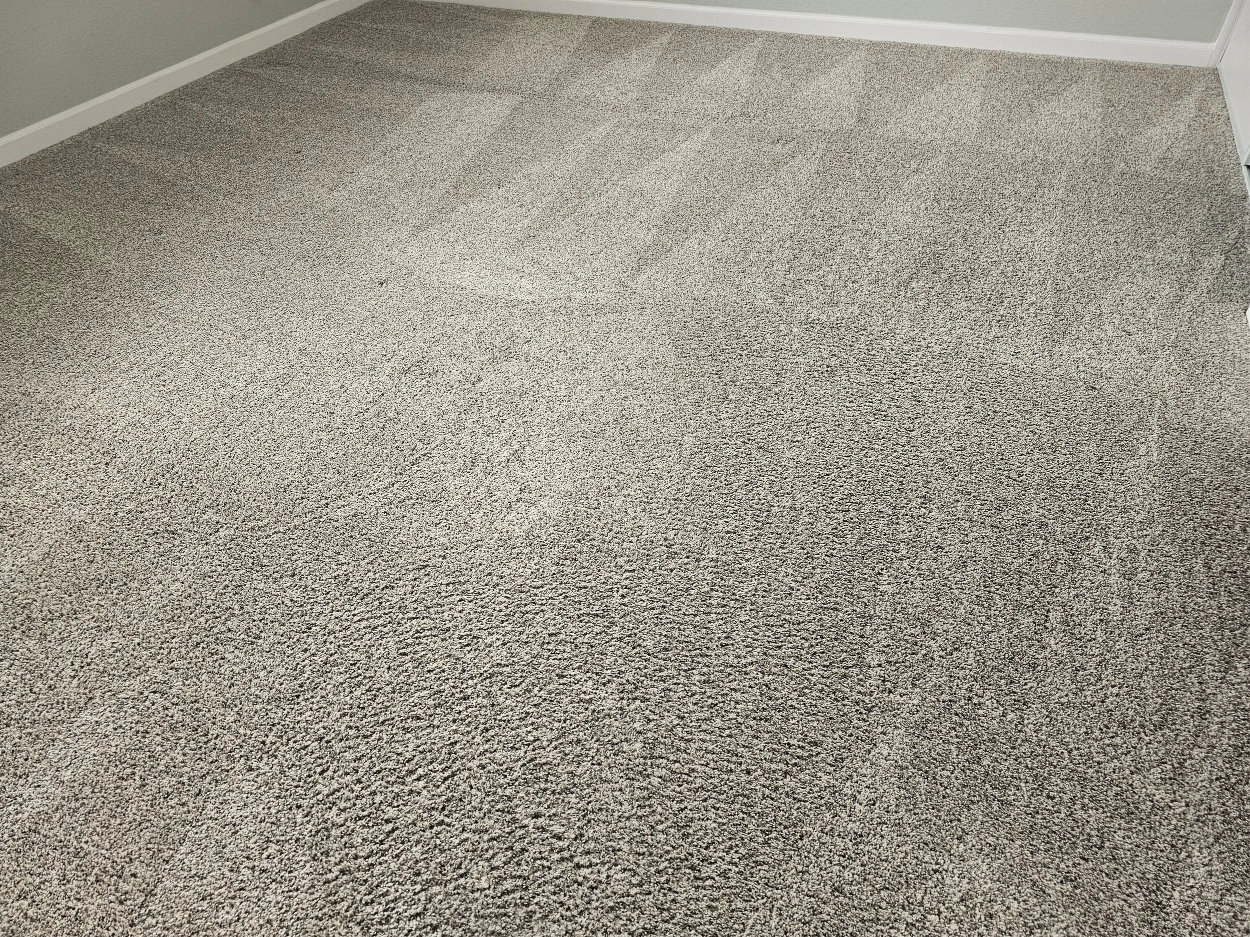 A corner of a room with beige carpet flooring, a light green wall, and white baseboards.