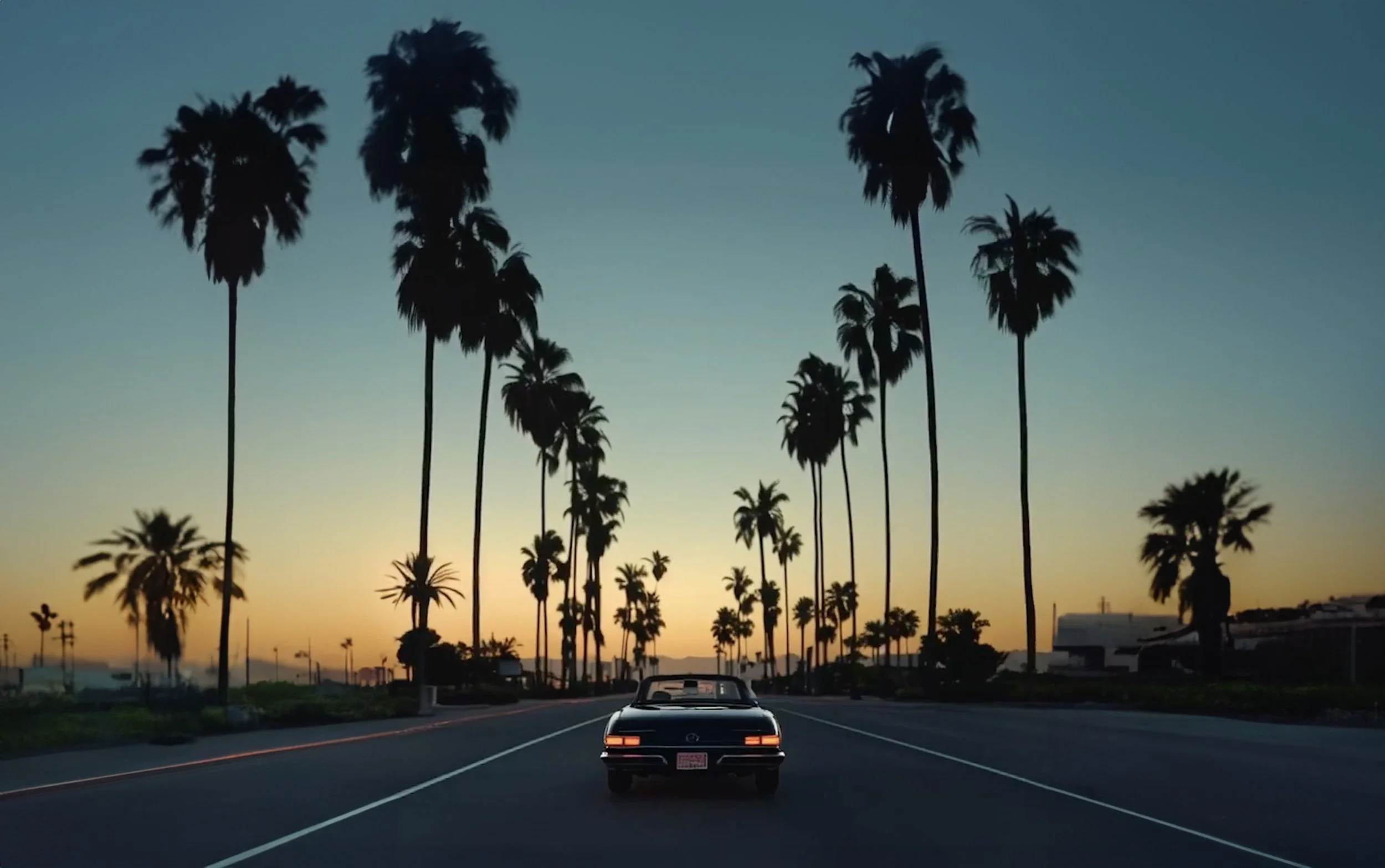 RM -- palm trees.jpg