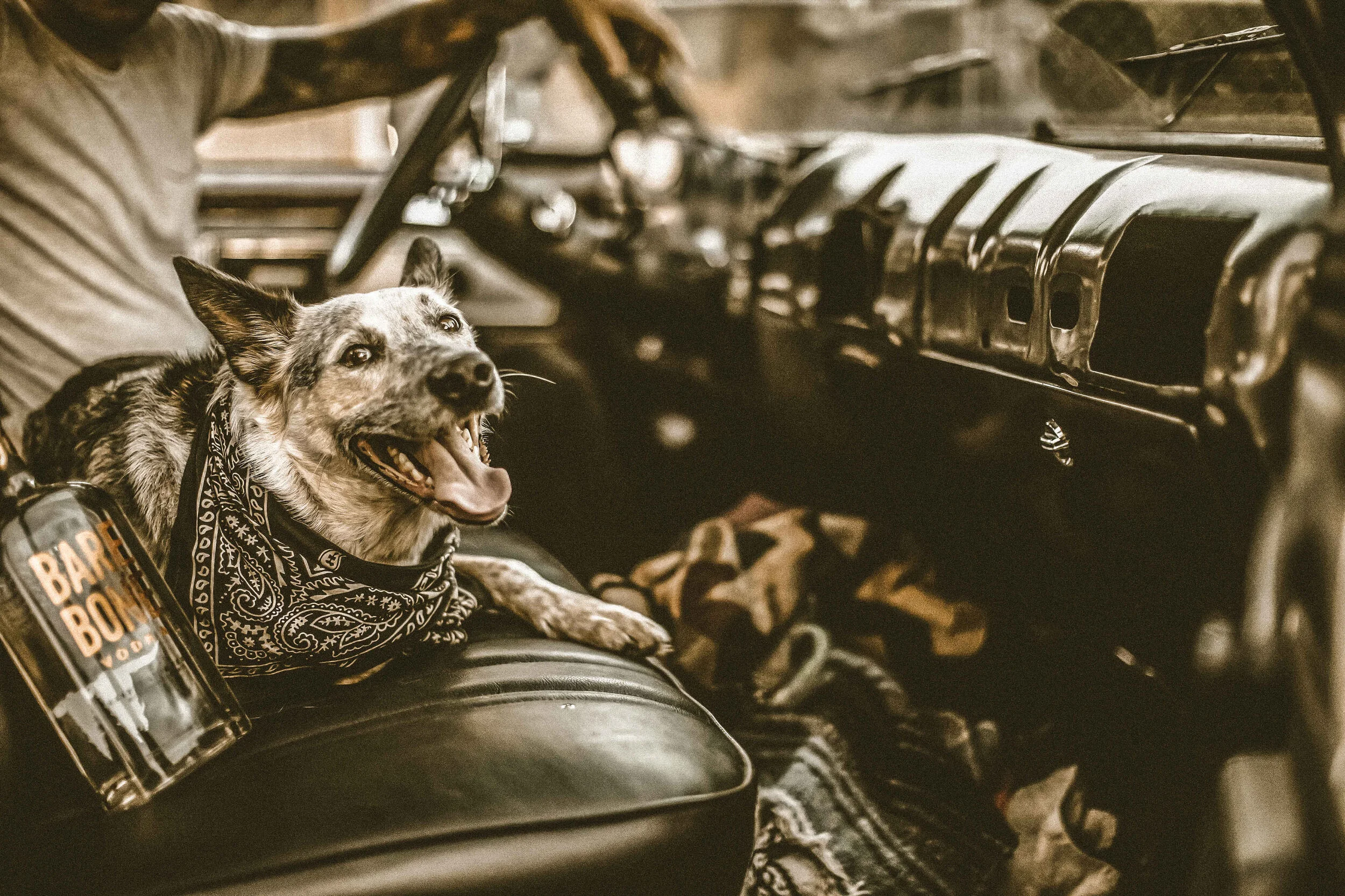 light(fmr light)12404.JPG