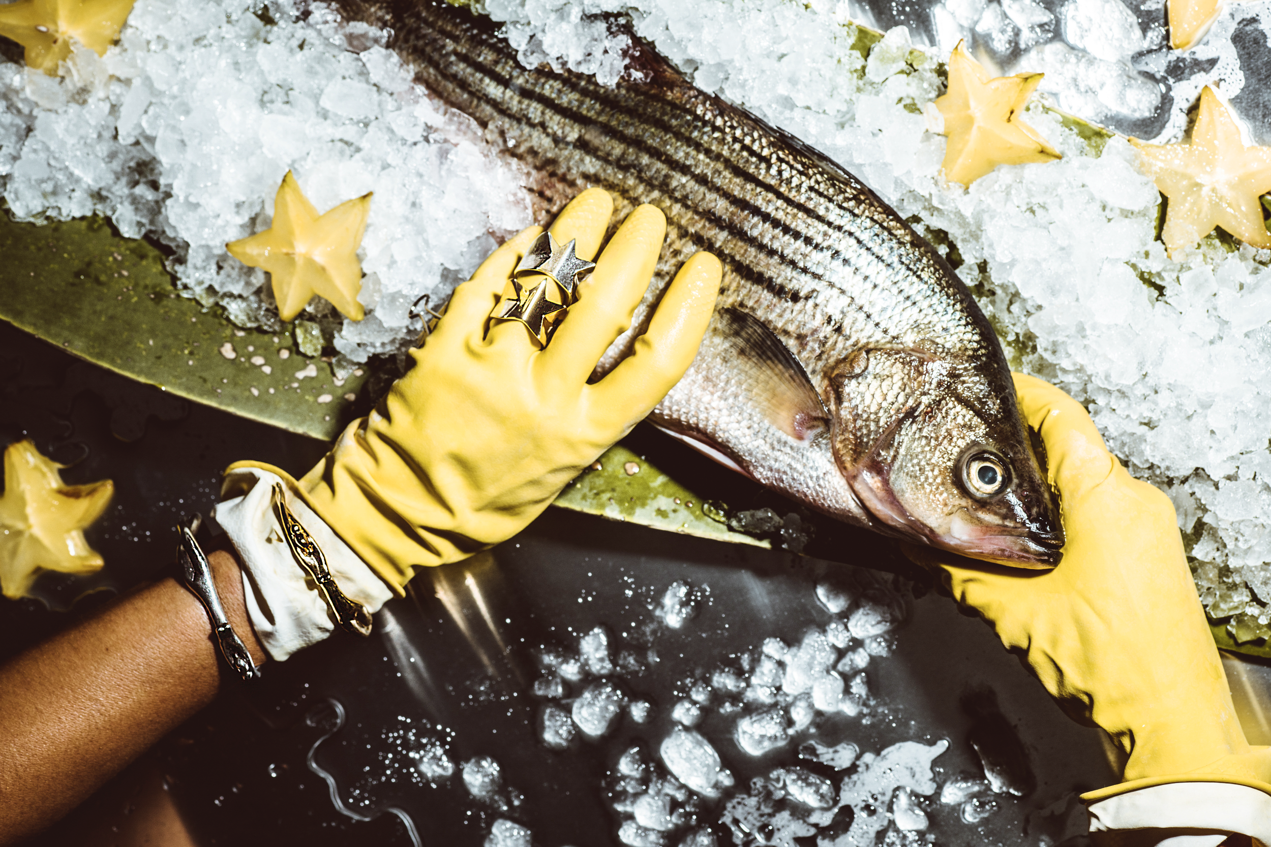 Screenshot 2024-08-18 at 1.10.01 AM.png