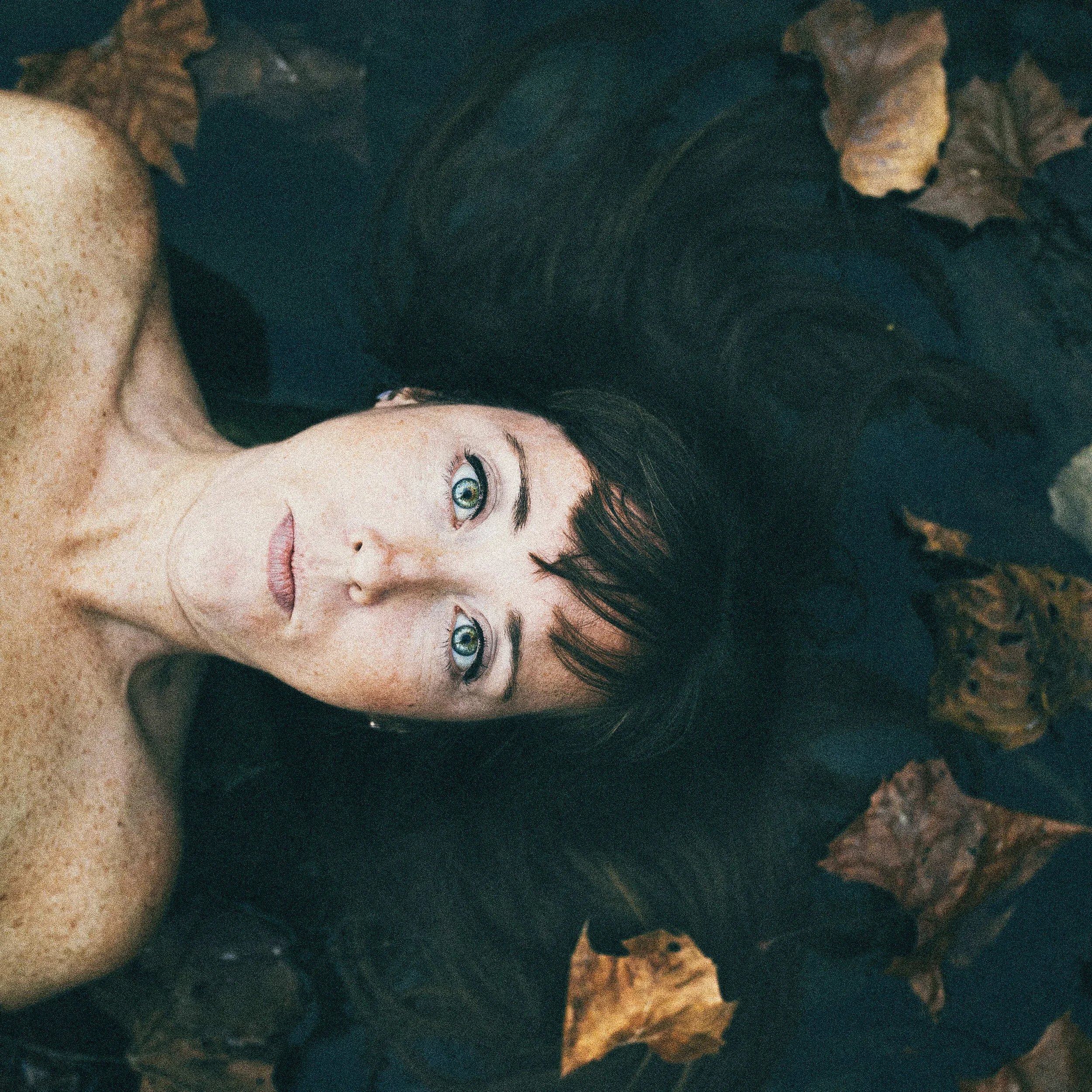 light(fmr light)12224.JPG