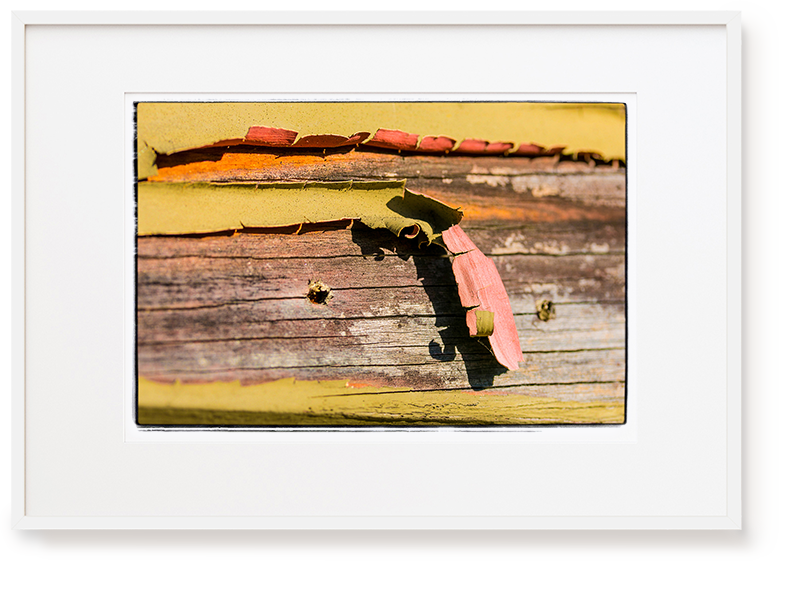 Erica Leather Photography & Framing Nelson