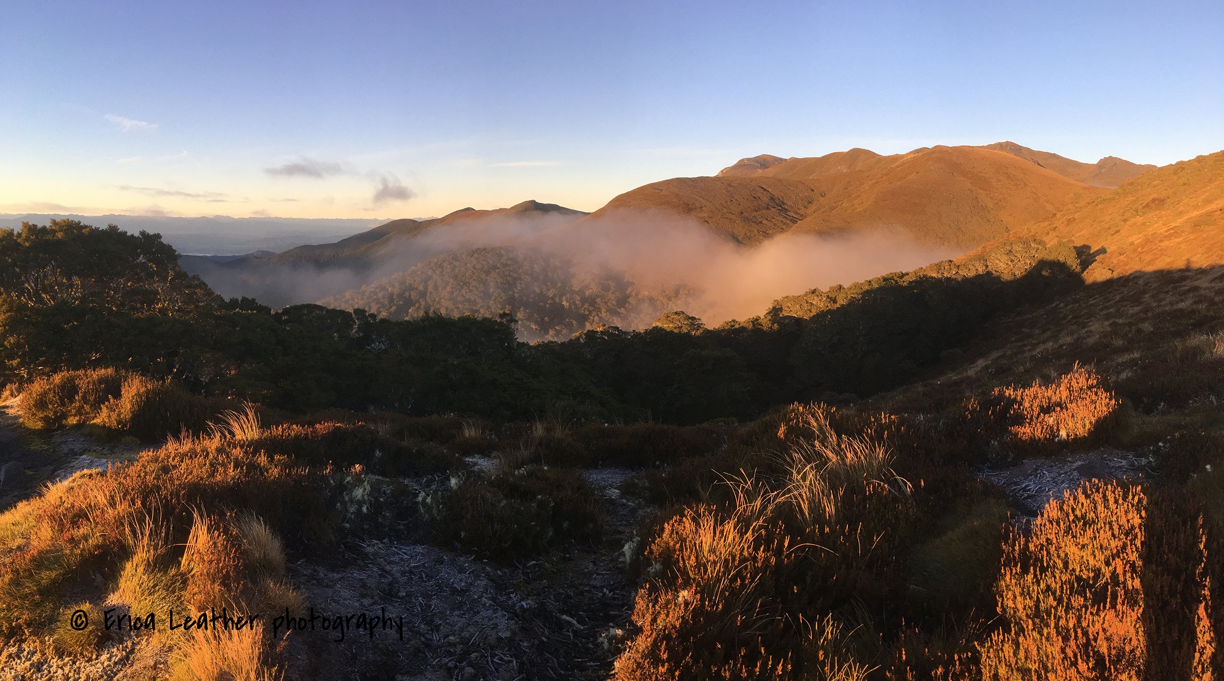 Mount Arthur at sunrise