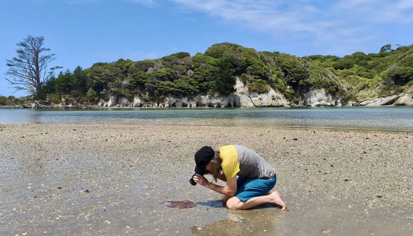 Erica Leather taking close up photo of jellyfish in Golden Bay
