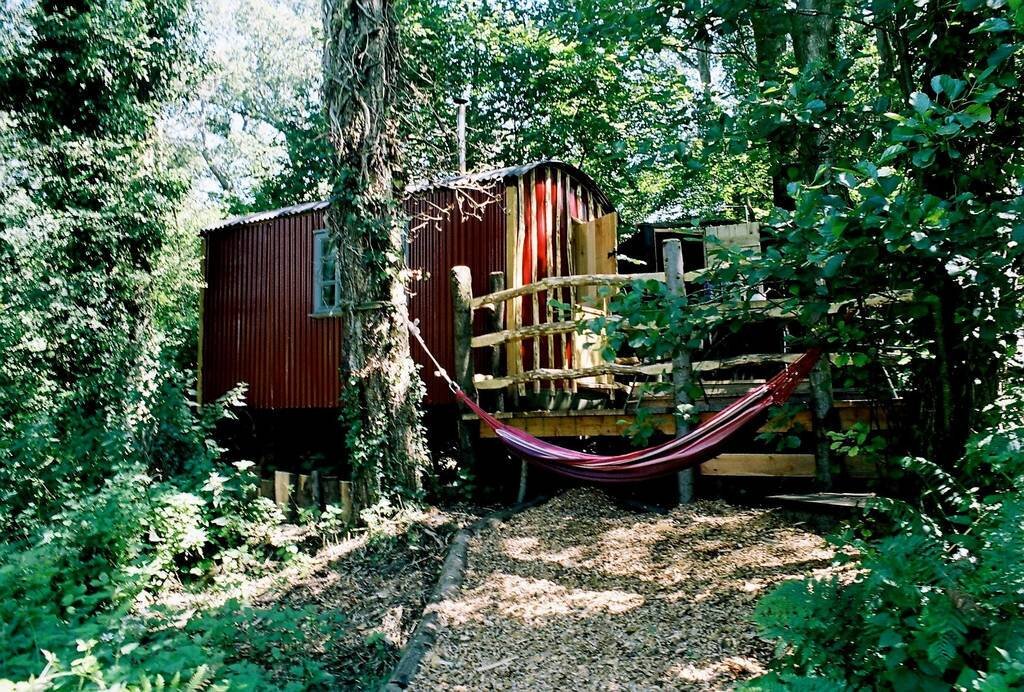 bodger-shepherdhut-dorset.jpg