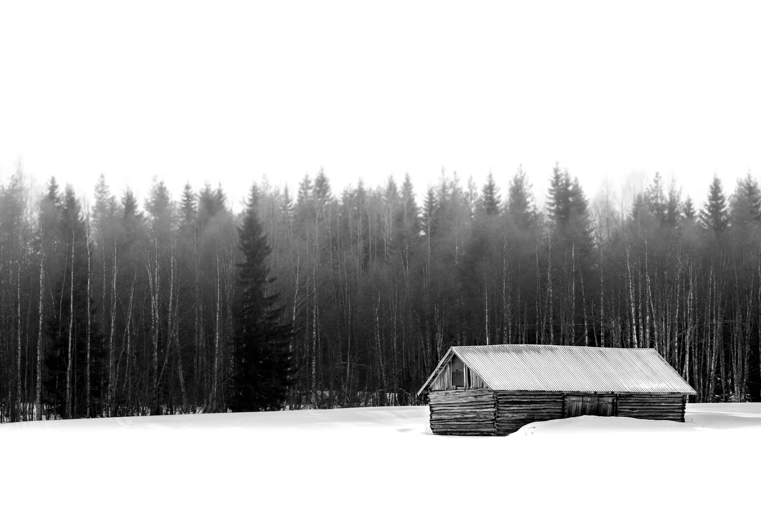 Natural Ambience