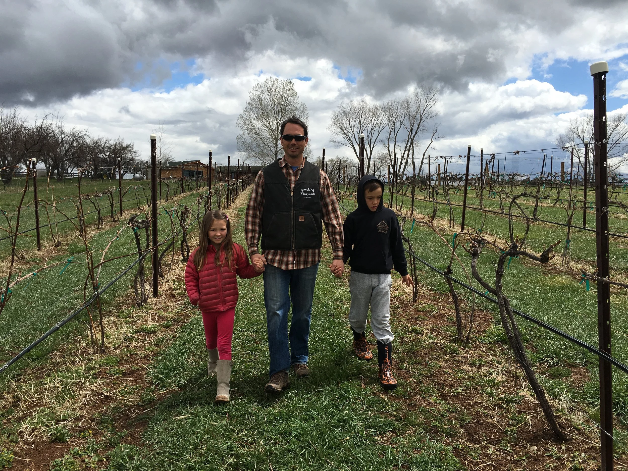 Where do the grapes come from?