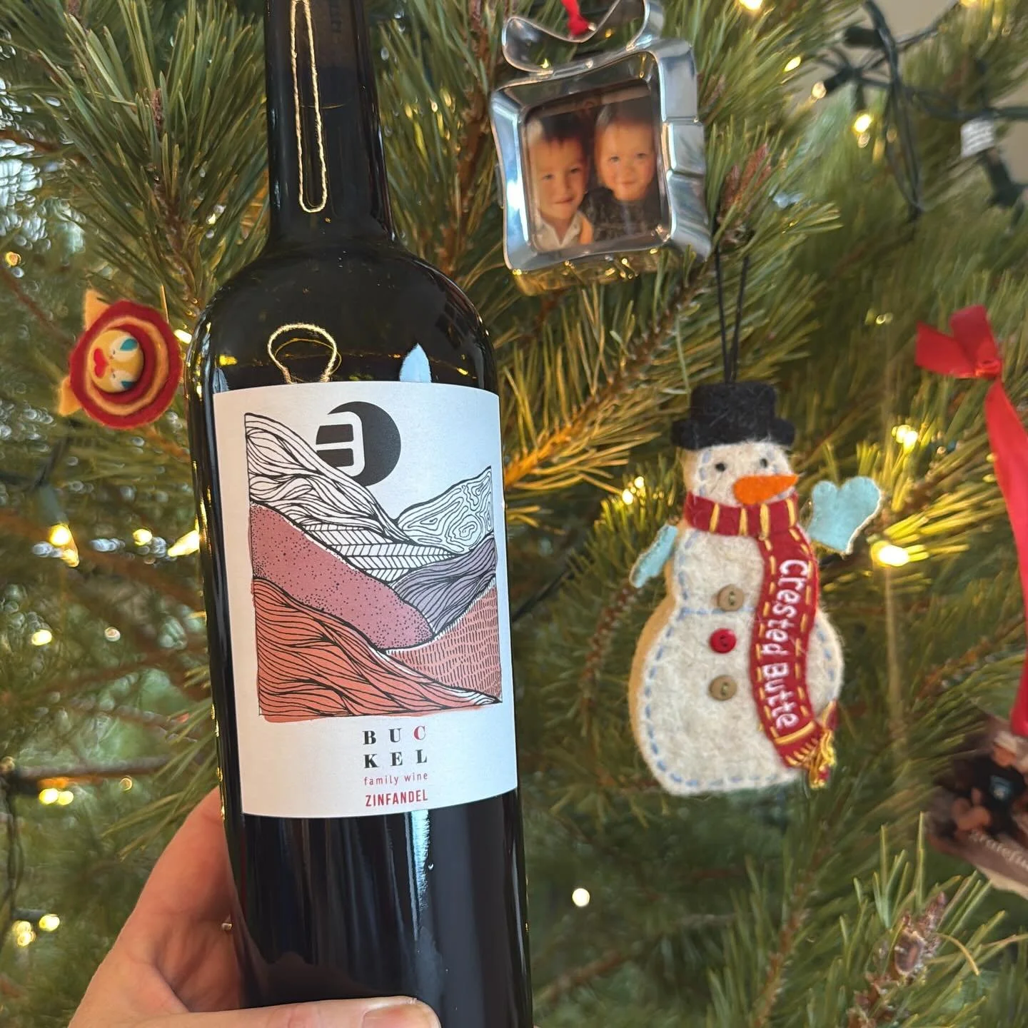 Merry ~ Merry Christmas 🎄 cheers 🥂