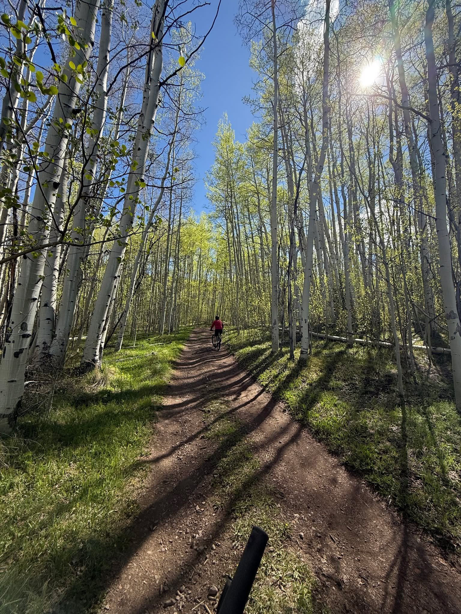 Happy World Bicycle Day! 🚴🍷 Get out on a bike, earn the view, then grab a glass of Buckel Family Wine. Our pick = the Glug Glug. 
Ride hard. Sip well. Repeat.
#WorldBicycleDay #BuckelFamilyWine #RideAndSip #ColoradoWine #BikeLife #SipAfterSpin #Col