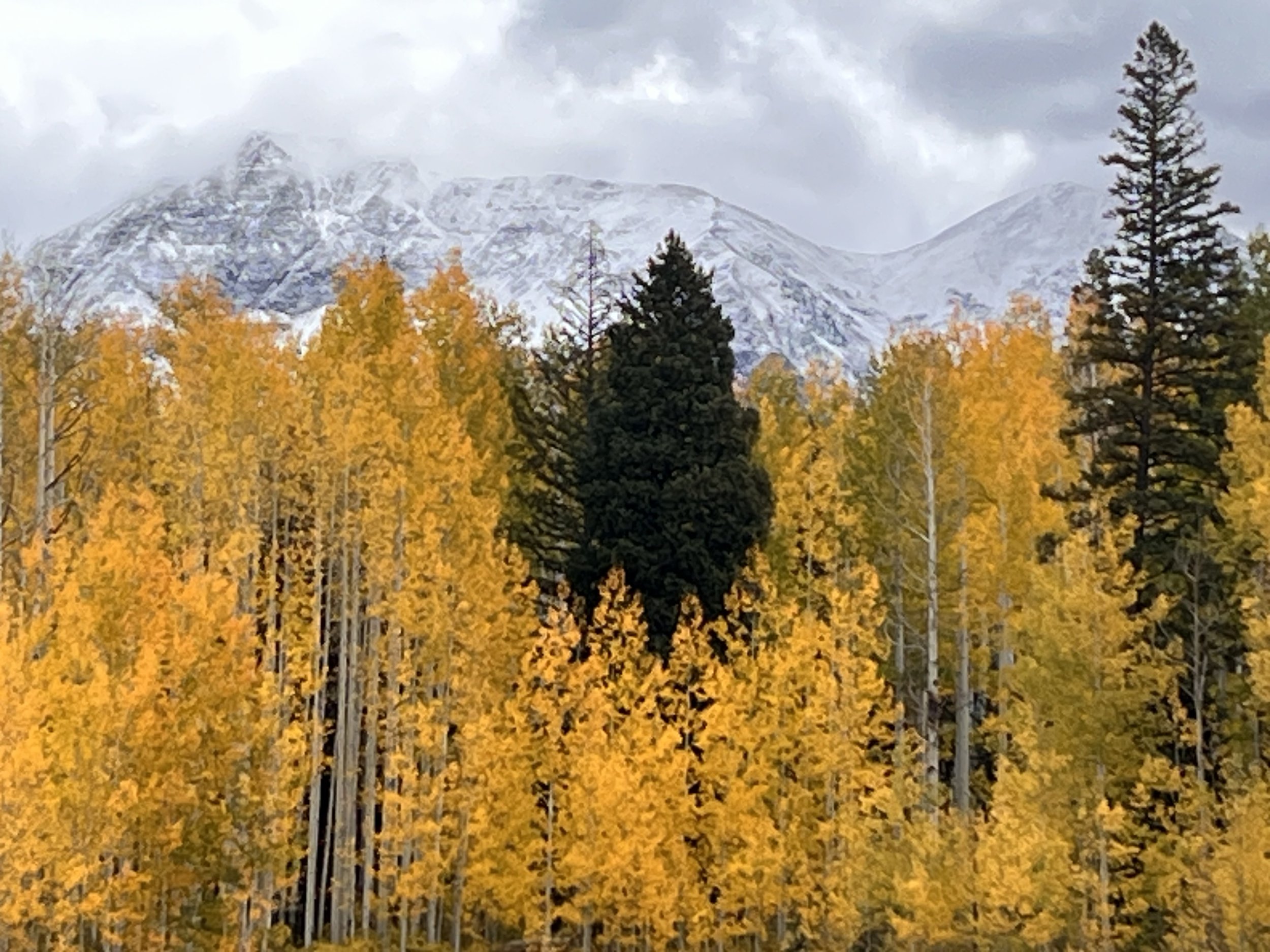 THE PERFECT COLORADO FALL ROAD TRIP