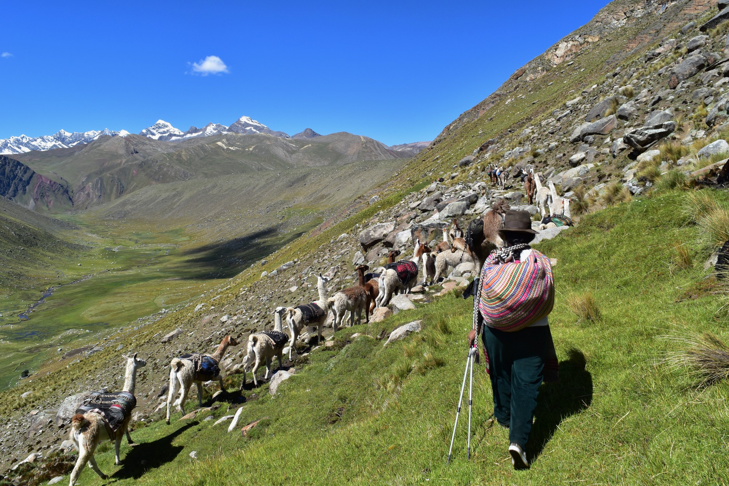 11-04-19 Tarhuay to Tambo Real (36).JPG