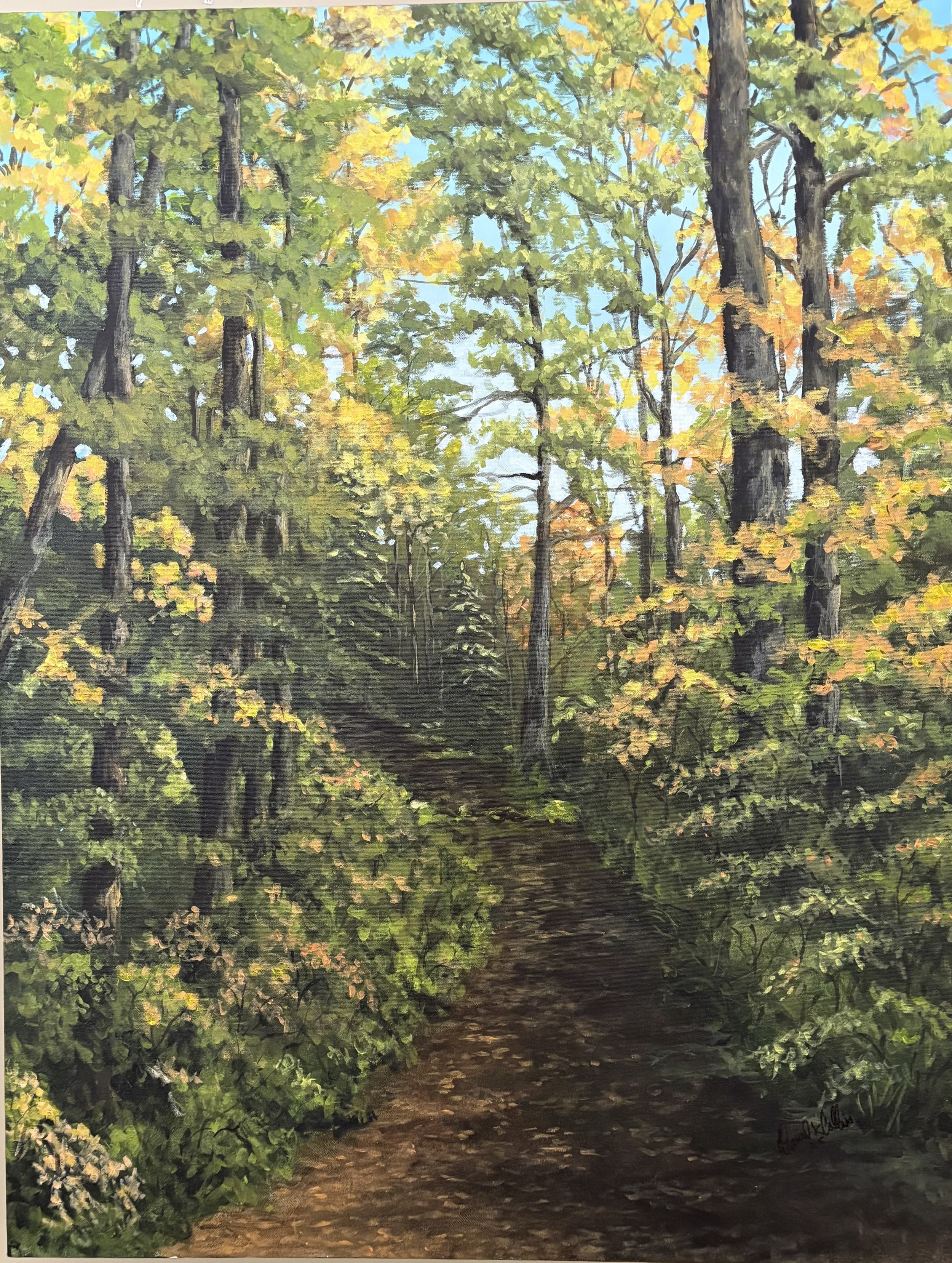 Follow Me - AVAILABLE