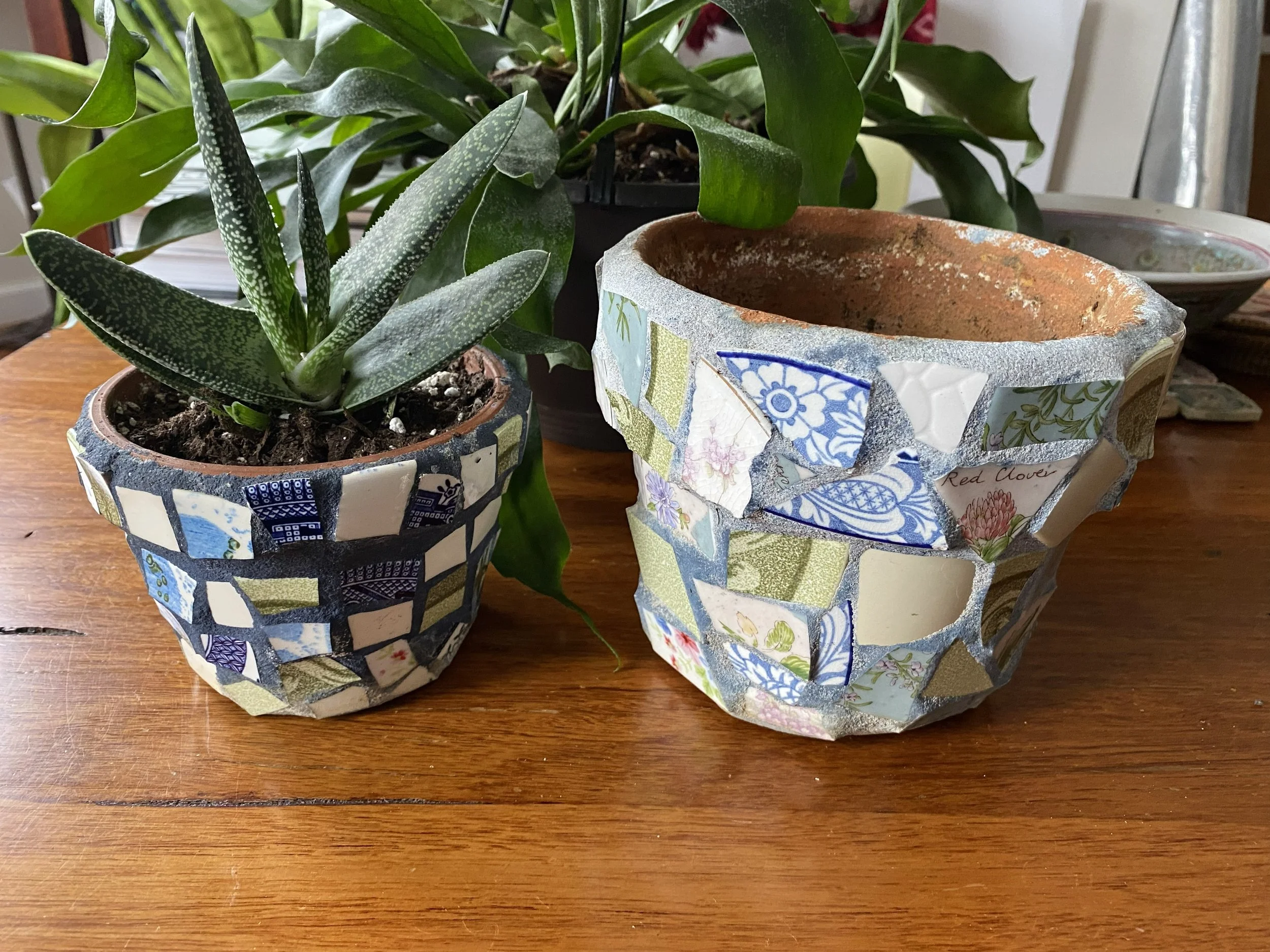 two flower pots.jpg