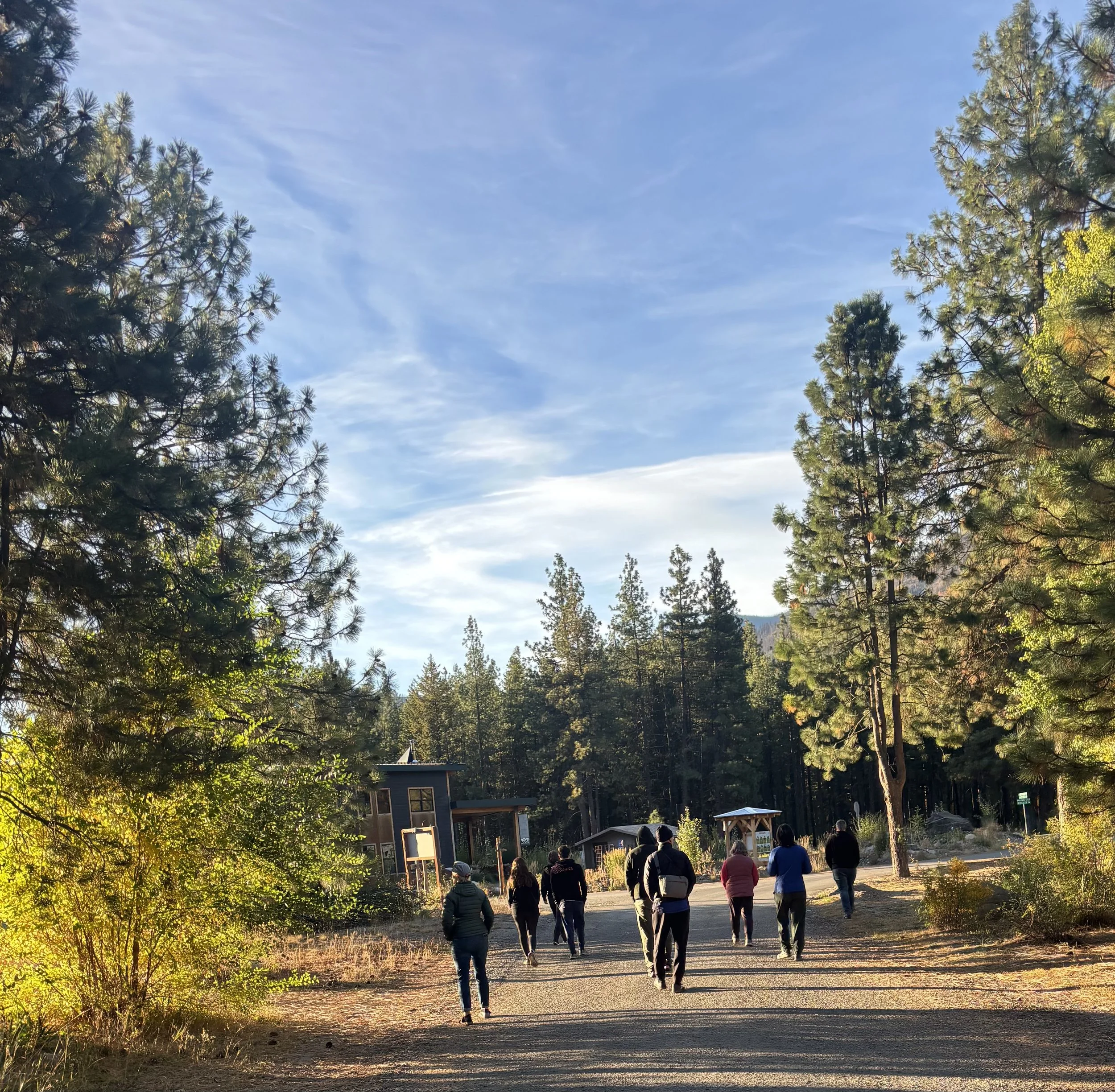 walking meditation.JPEG