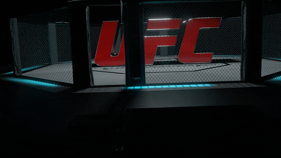 UFC6.gif
