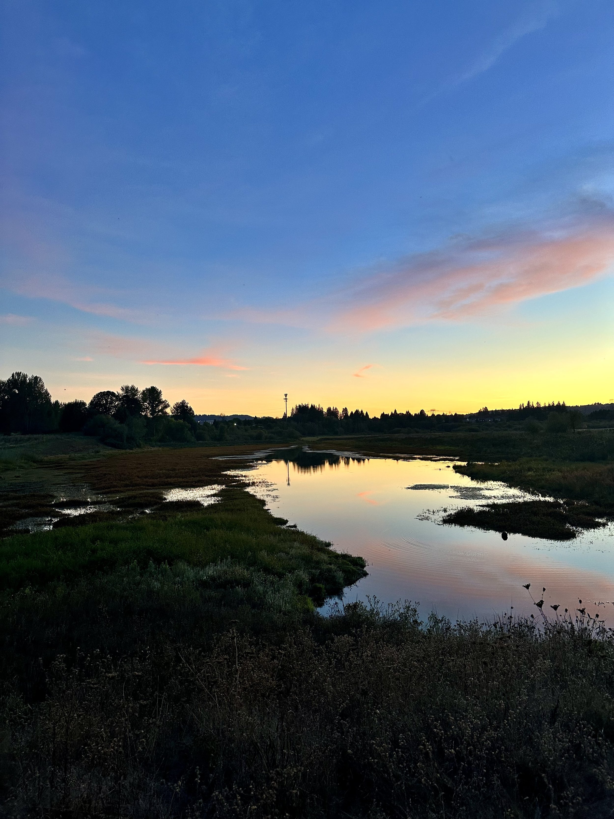Sunset Circle with Melissa Potter