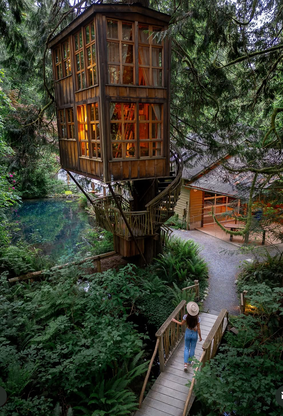 Rooted & Rising: A Women's Treehouse Retreat