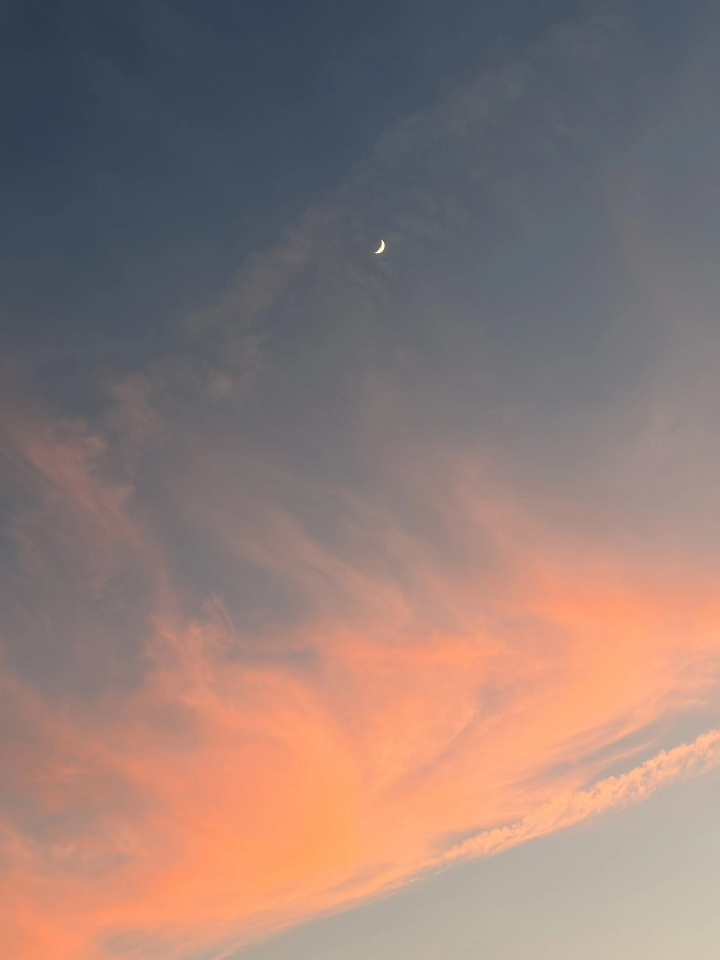 Free New Moon Virtual Circle with Melissa Potter