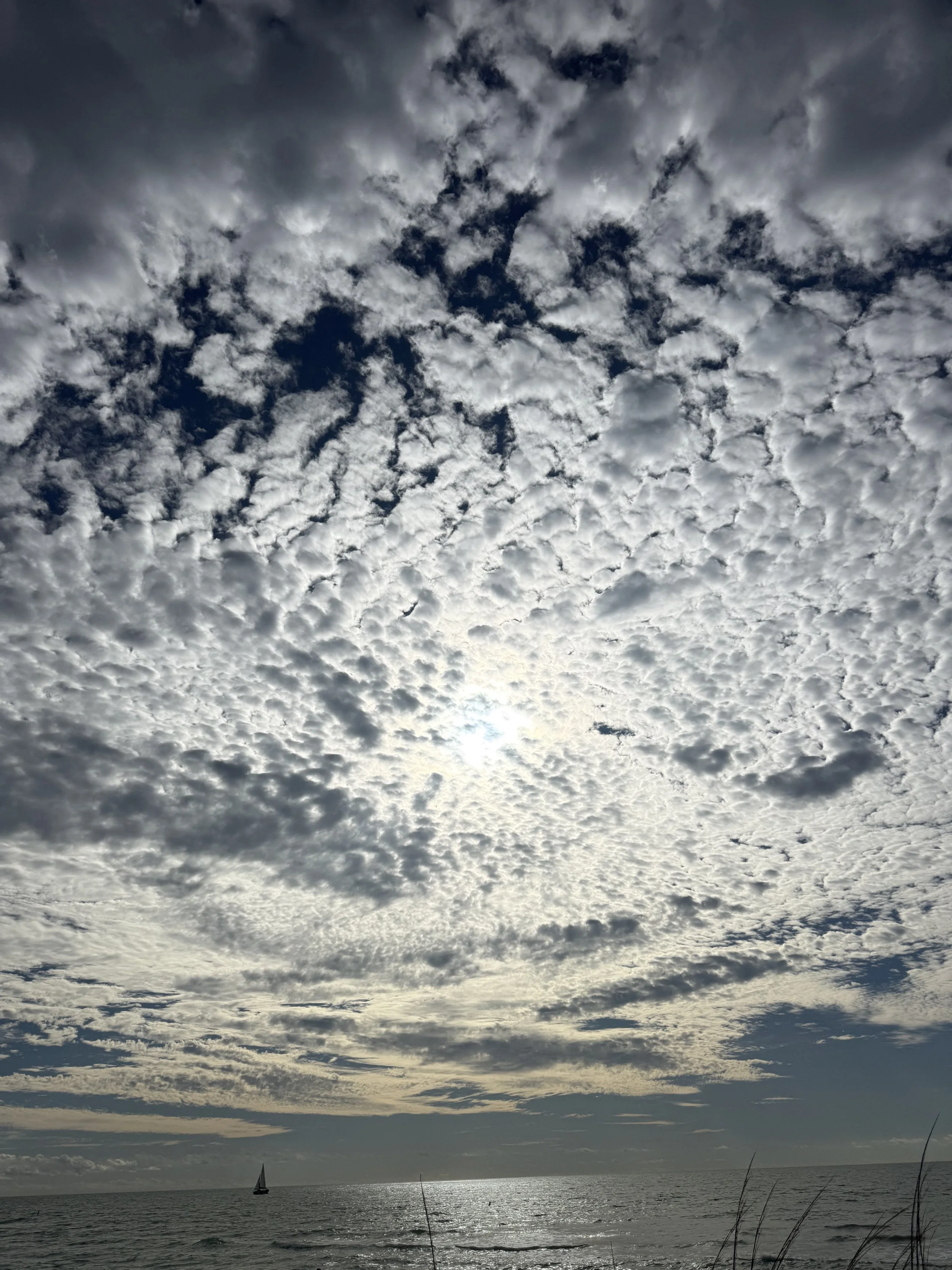 Awaken with Breathwork with An Huynh