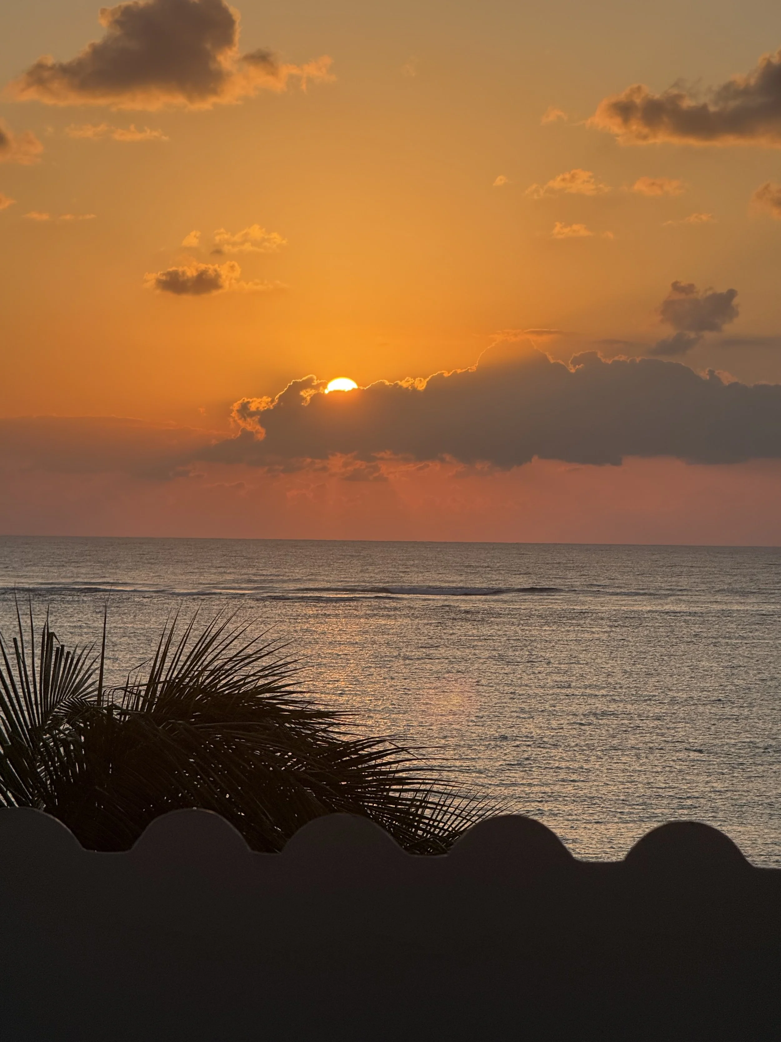 Sunset Circle with An Huynh