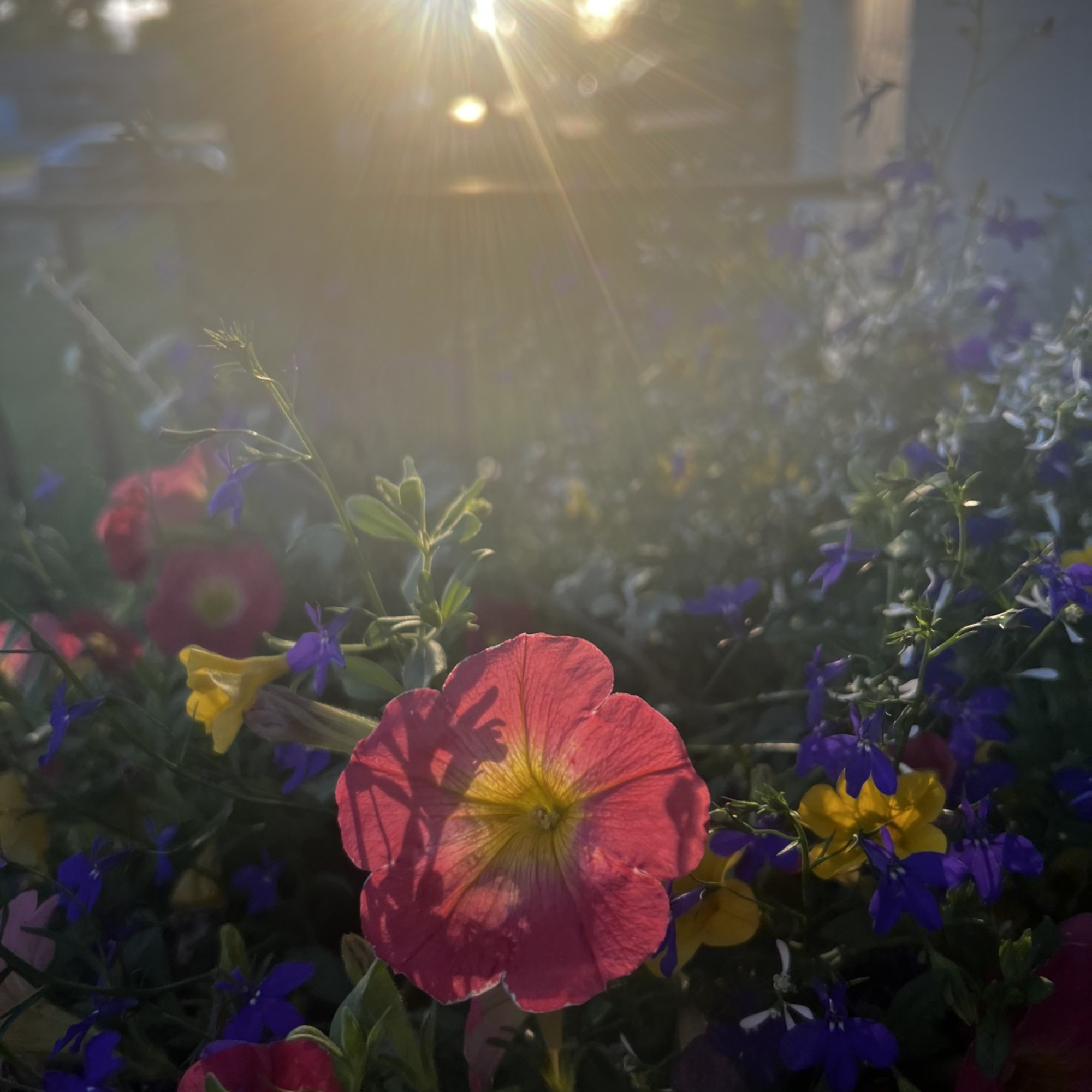 Sunset Circle with Jennifer Benson