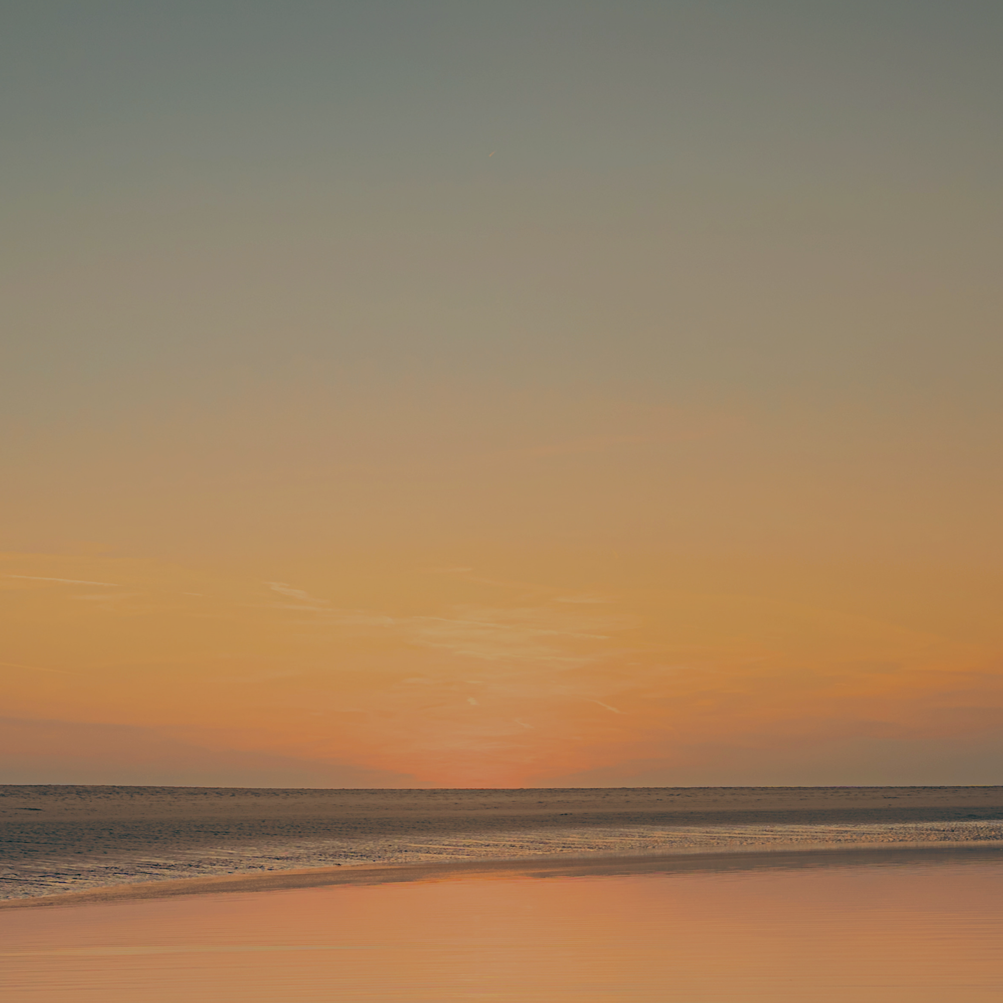 Sunset Circle with Staci Levine