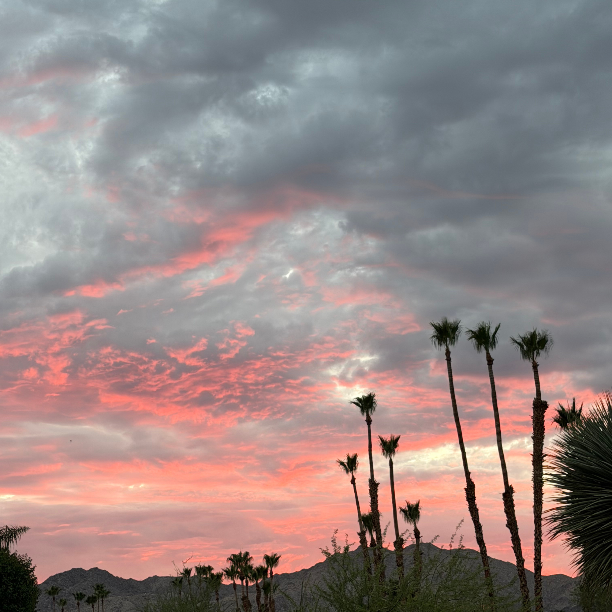 Free Virtual Sunset Circle with Alison Mullins