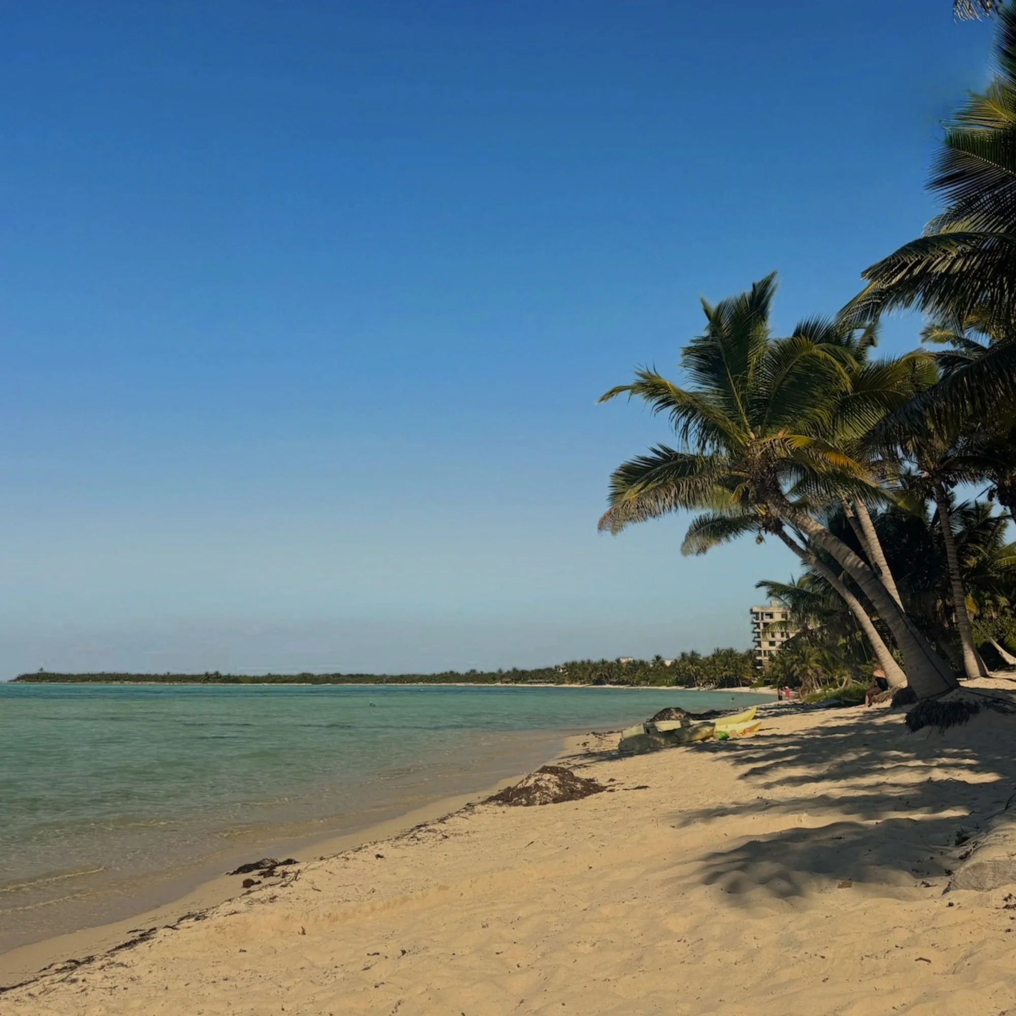 Come Alive :: Tulum with Lavinia Errico &amp; Staci Levine