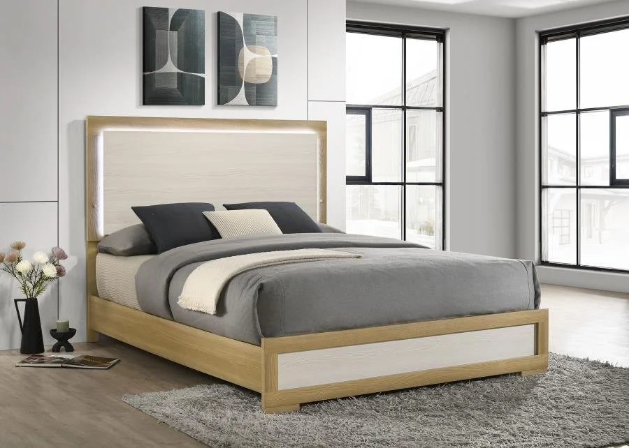 215651  Hyland Wood LED Panel Bed