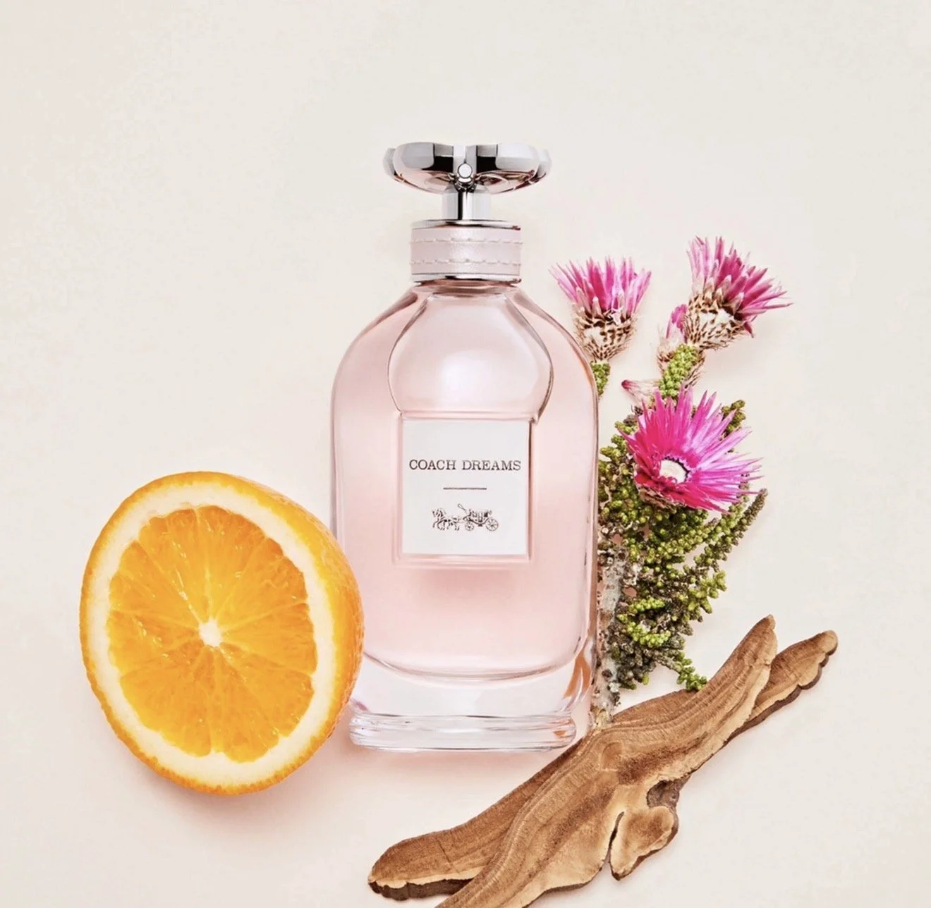 Coach   Dreams Eau de Parfum