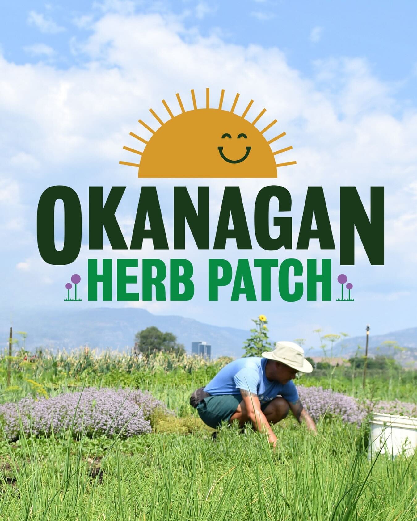 New Logo alert! 

The Okanagan Herb Patch is back from its winter hibernation (important for all seasonal beings) and ready for an incredible 2024 season. 

We a new plot of land, a new logo, and a new farmers market, we have a lot &lsquo;on the hori