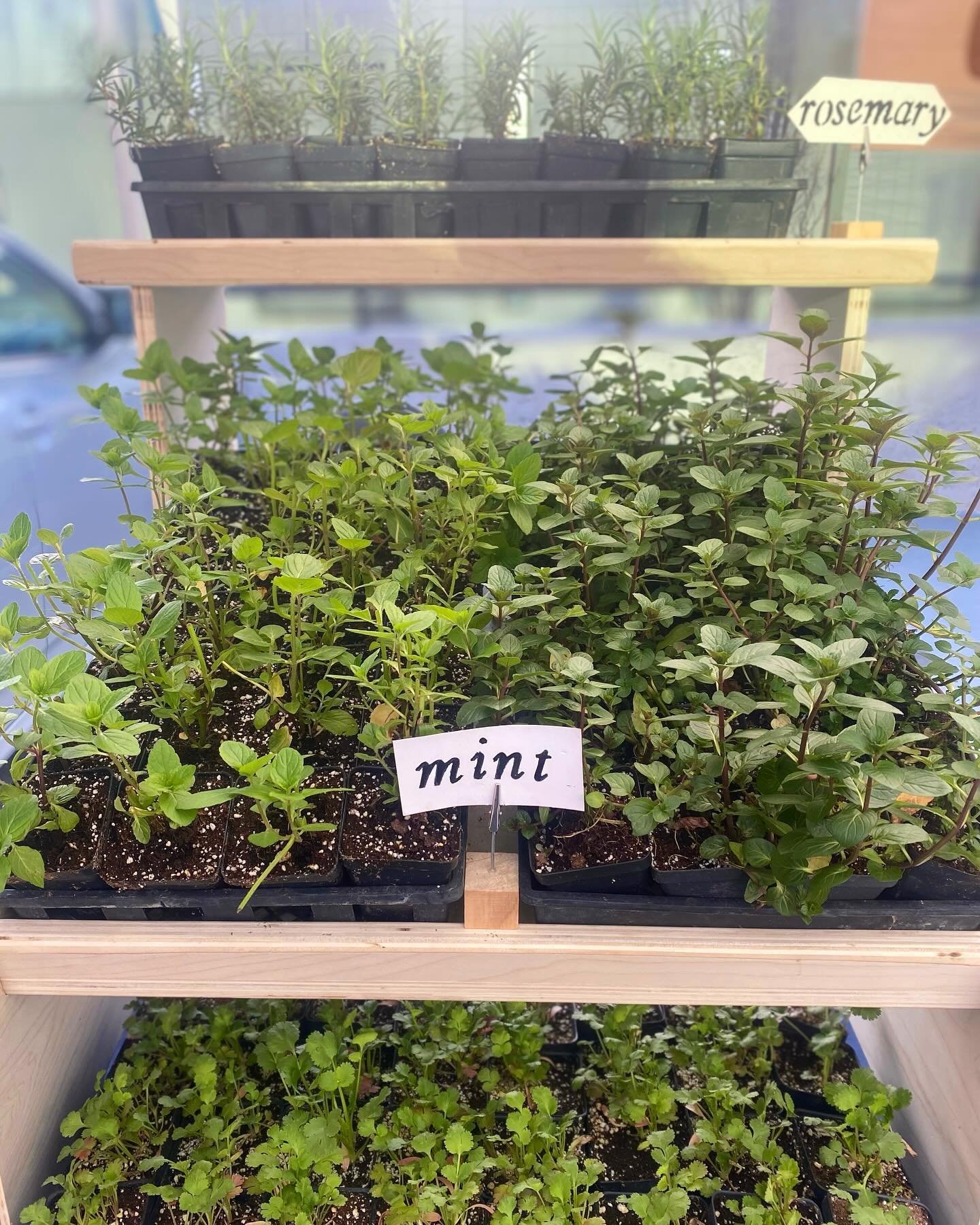 Brand new seedlings for your home herb garden and preserves for anytime! Swipe to see our new labels➡️

It&rsquo;s a beautiful day here at the market, so come check out the early offerings from the patch 🌱🥗🥫
.
.
.
#kelowna #kelownafarmersmarket #f