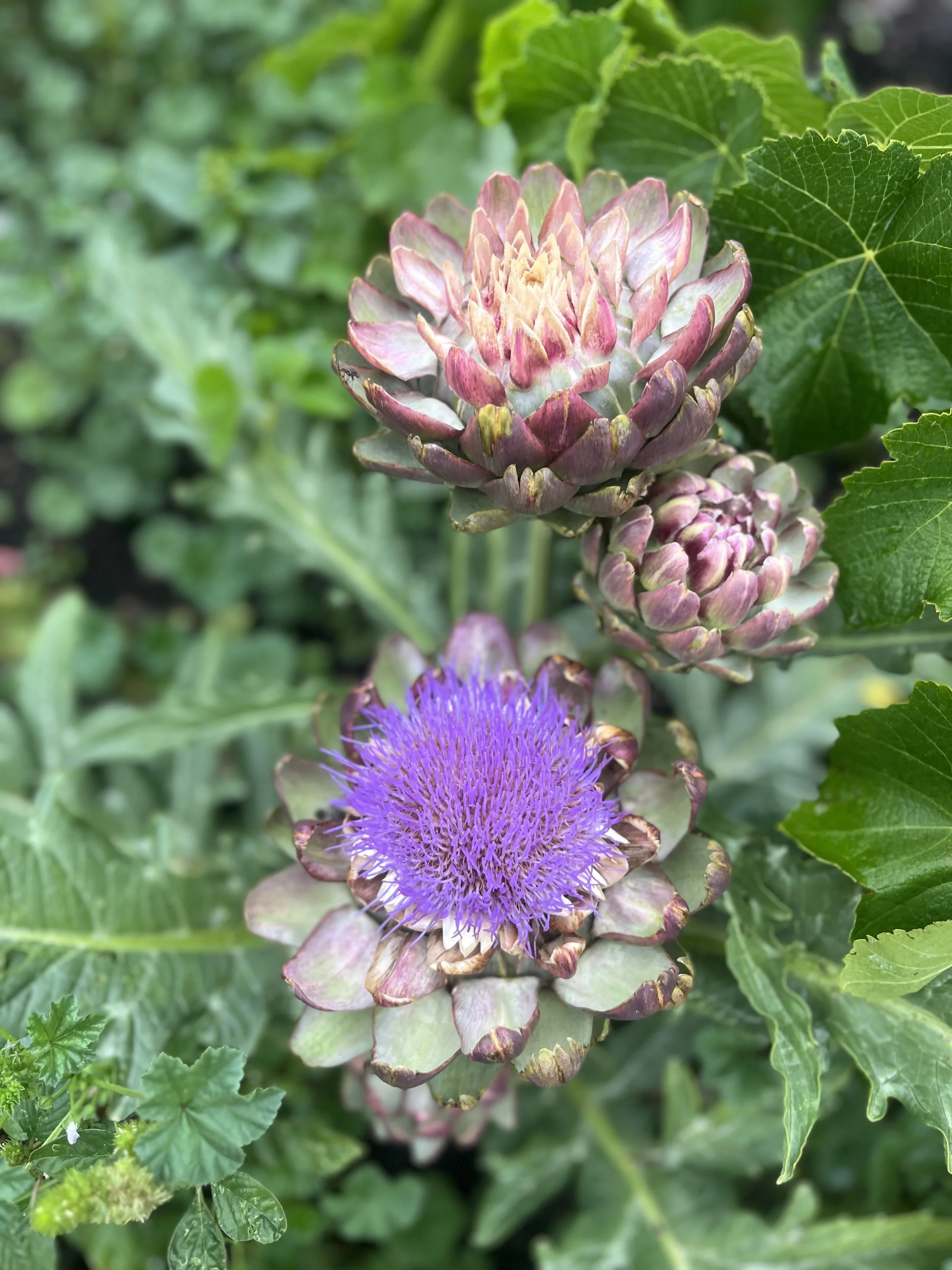 Aug 15: Updates