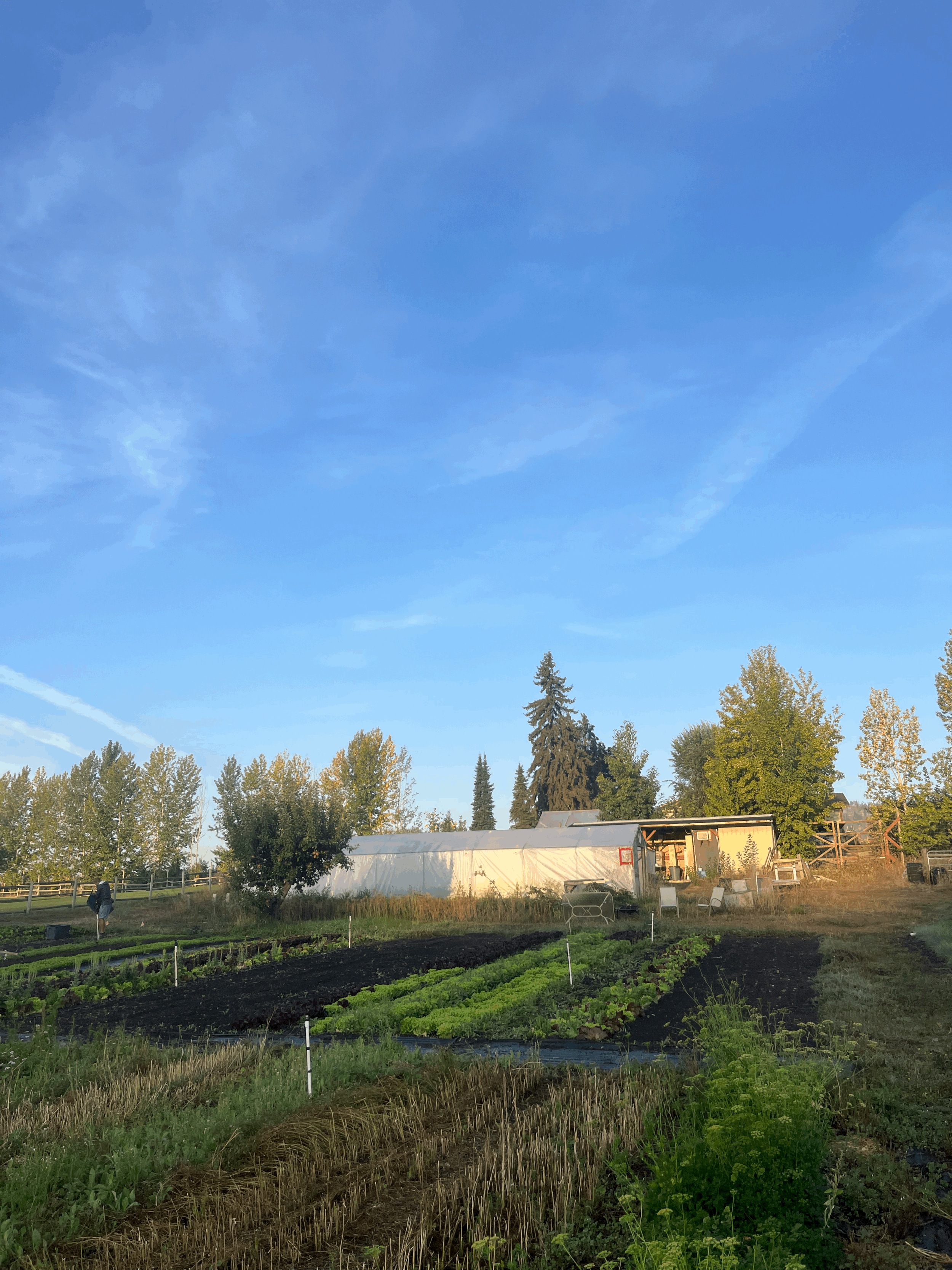 Sept 19: Put Seeds in the Ground