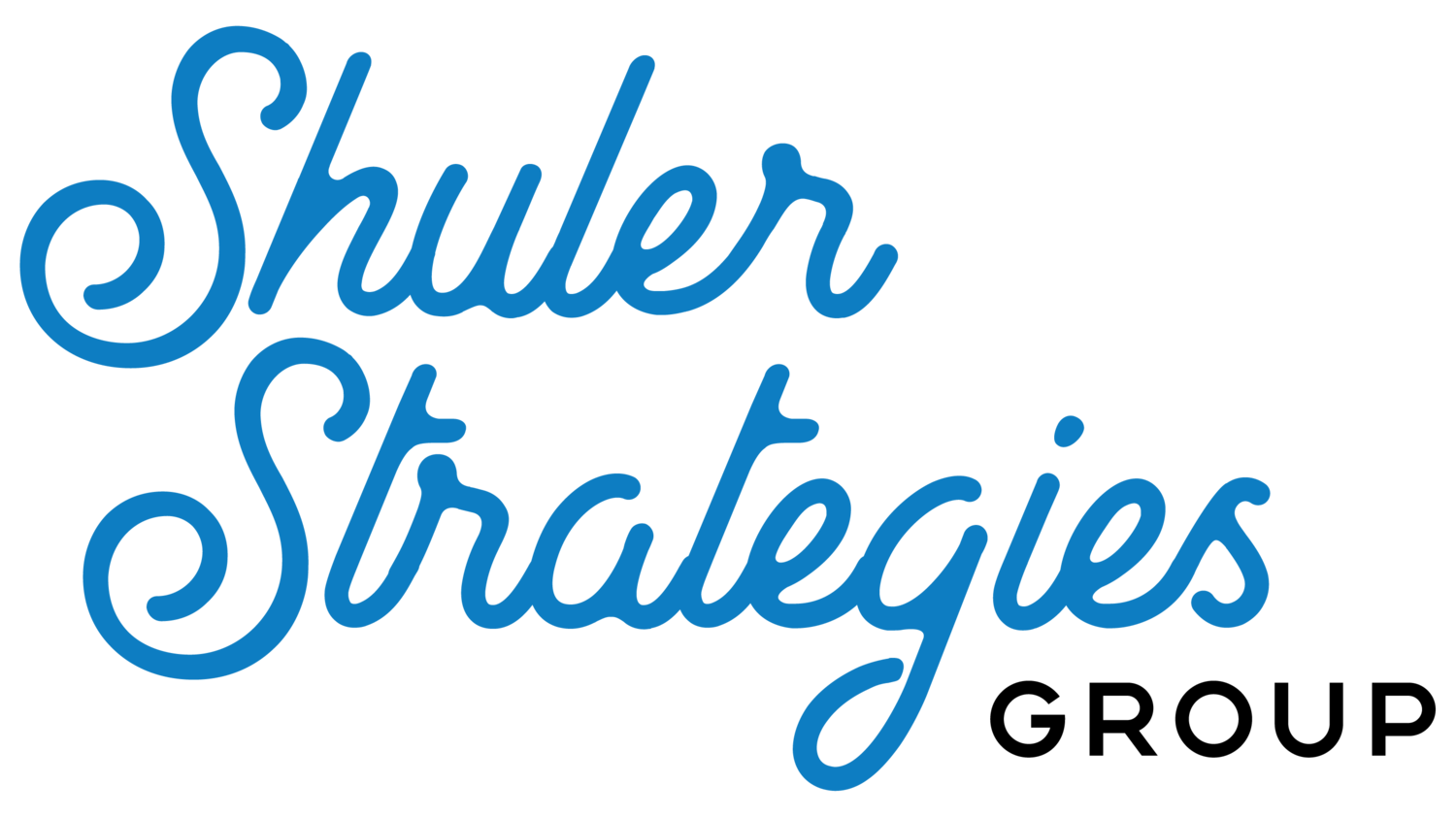 Shuler Strategies Group