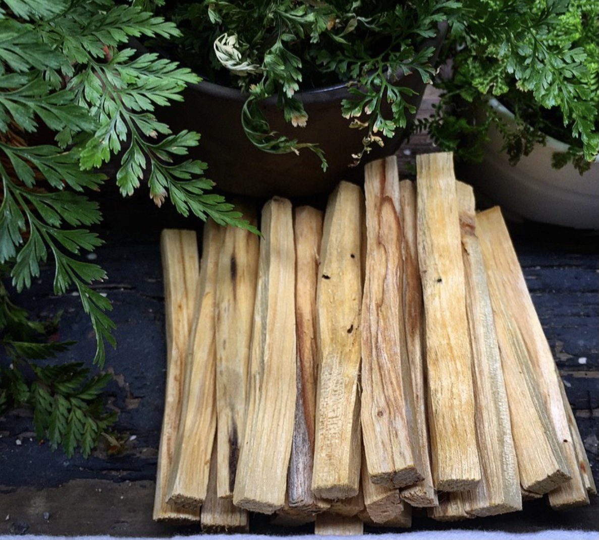 Blessed Palo Santo- Bundles of 5