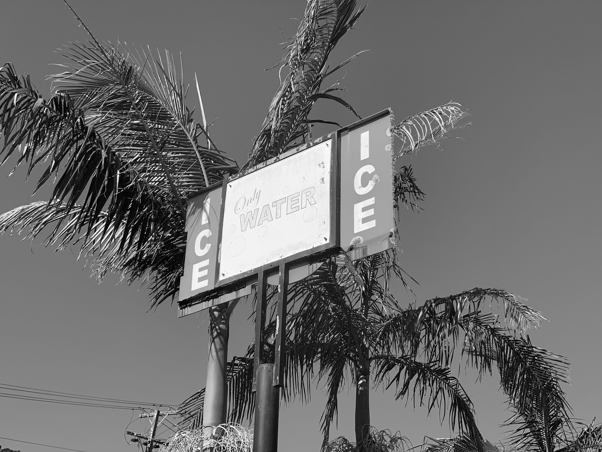 New year, same island sun.

Salt in the air, palms in the wind, and all the perfectly worn-in details that feed our imagination.

From our studio on Waiheke, we&rsquo;re stepping into 2025 with intention: soft forms, honest materials, and pieces shap