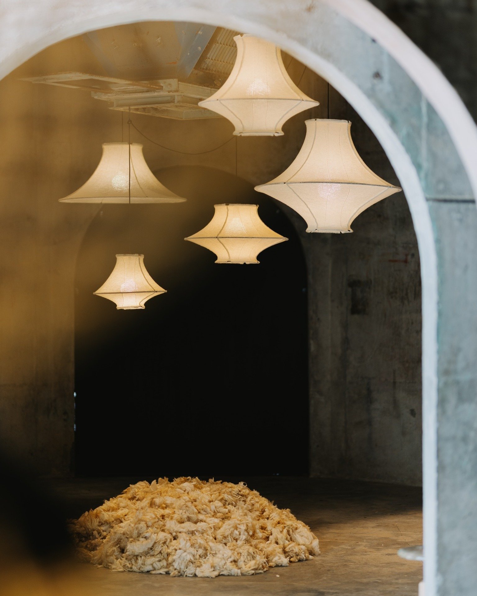 Meet the newest members of the Lof whānau.
On show at Silo 6 until Sunday.

IN THE MAKING | 5&ndash;8 March 2026
Silo 6, Auckland Waterfront
Supported by The Designers Institute @designersnz 
Curated by Clark Bardsley (@cbd_ltd)

#InTheMaking26 #Aote