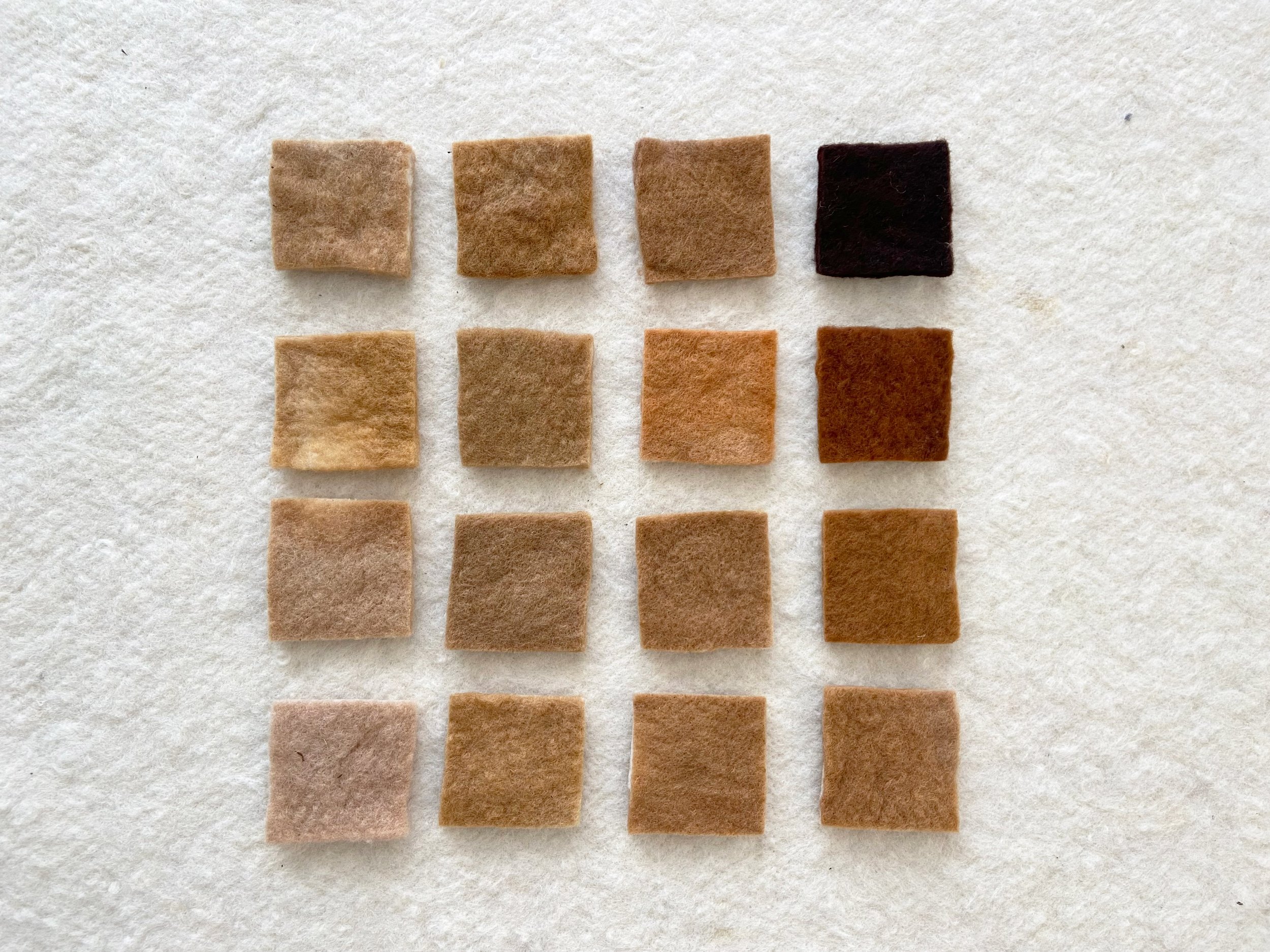 Lof Natural Dyeing swatch experiments Harakeke Gold.jpg