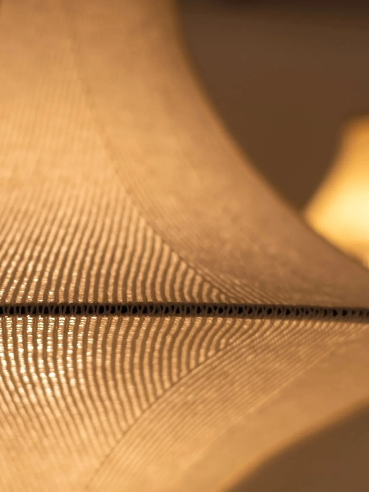 HIWA+DETAIL+2.jpg