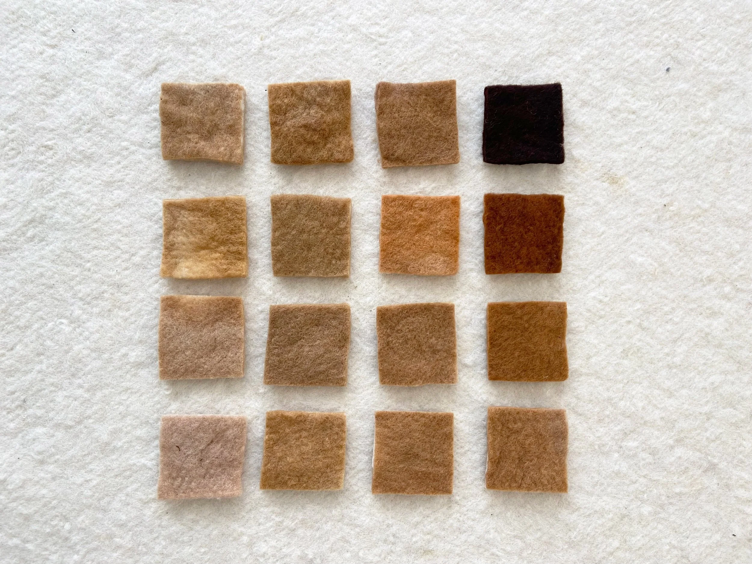 Lof Natural Dyeing swatch experiments Harakeke Gold.jpg (Copy)