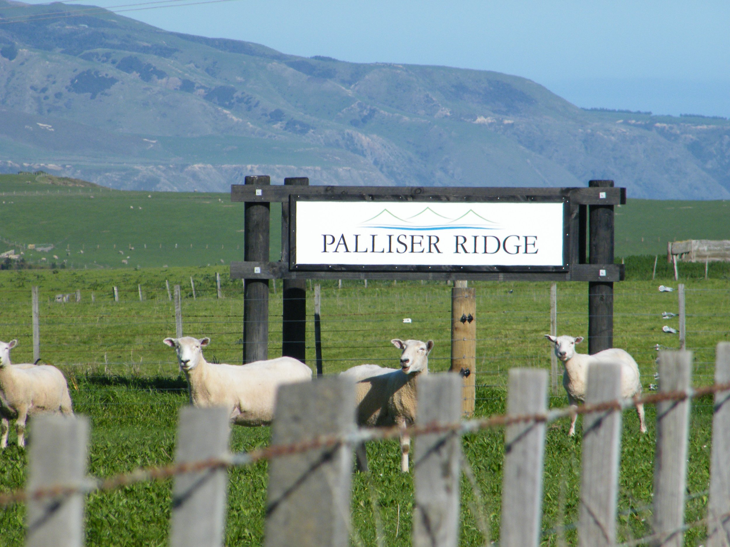 PR Sign.jpg