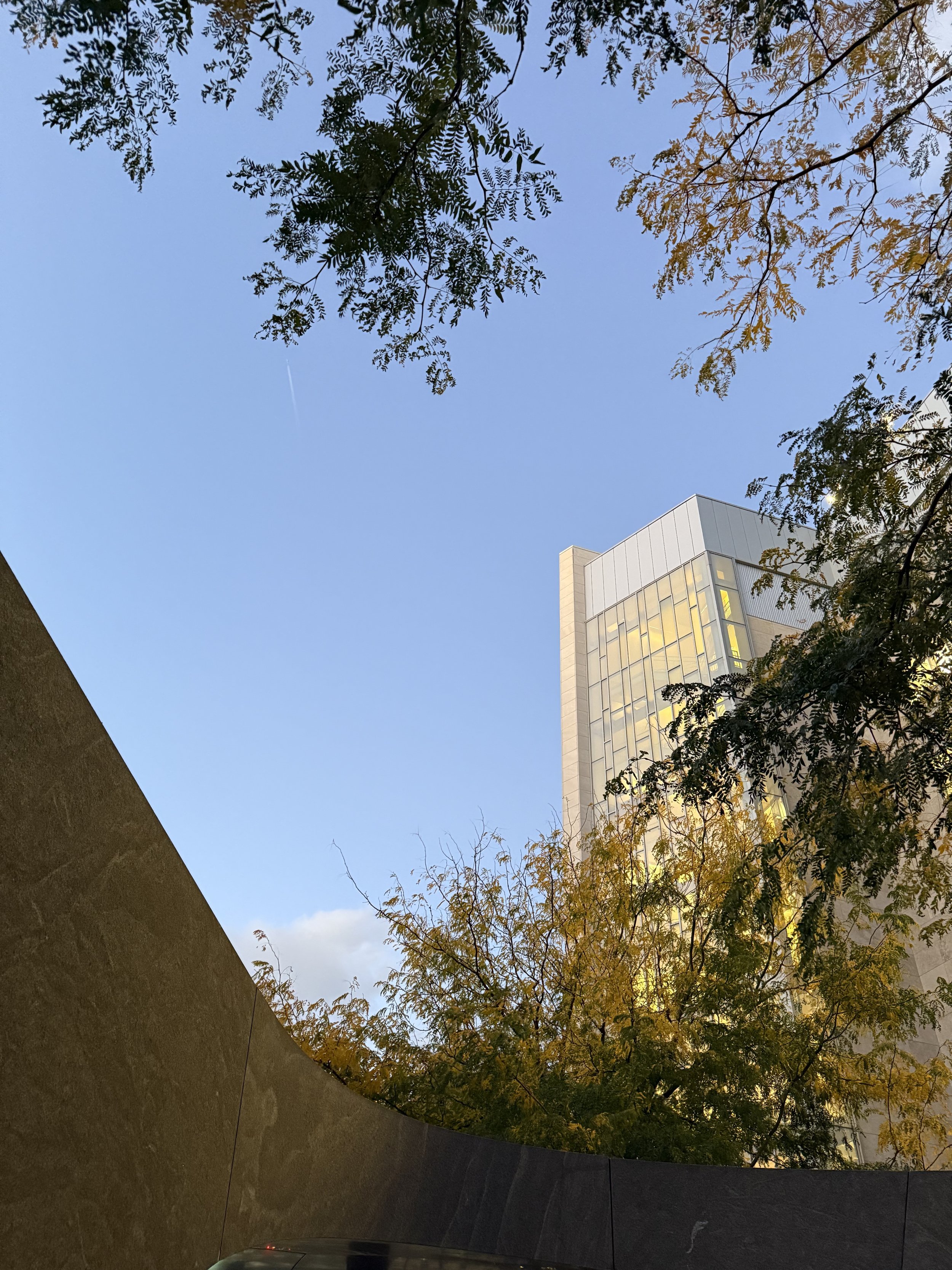 mitbuildingjpg.jpg