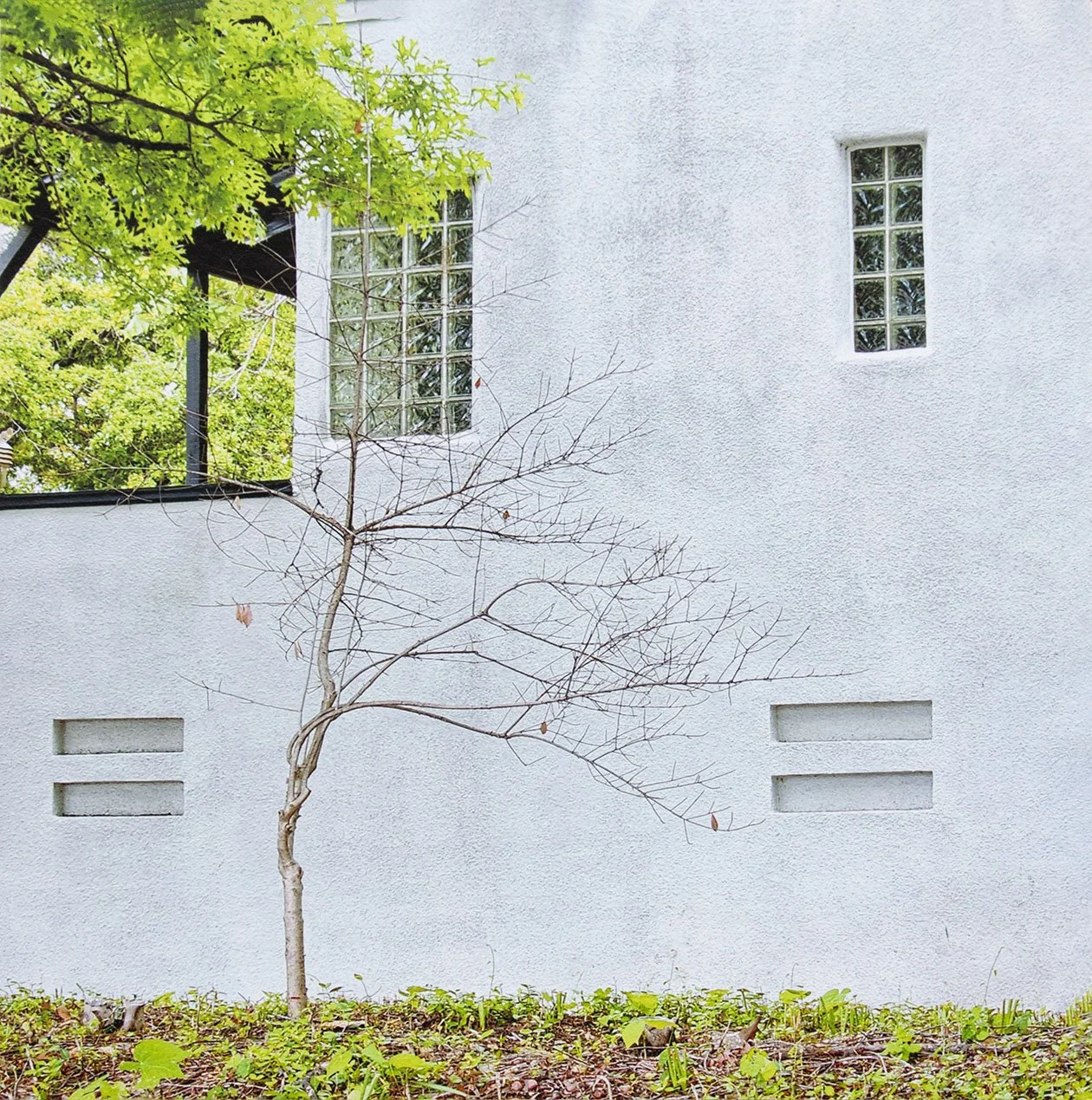 "Quiet Retreat" by Gabrielle Pruitt
