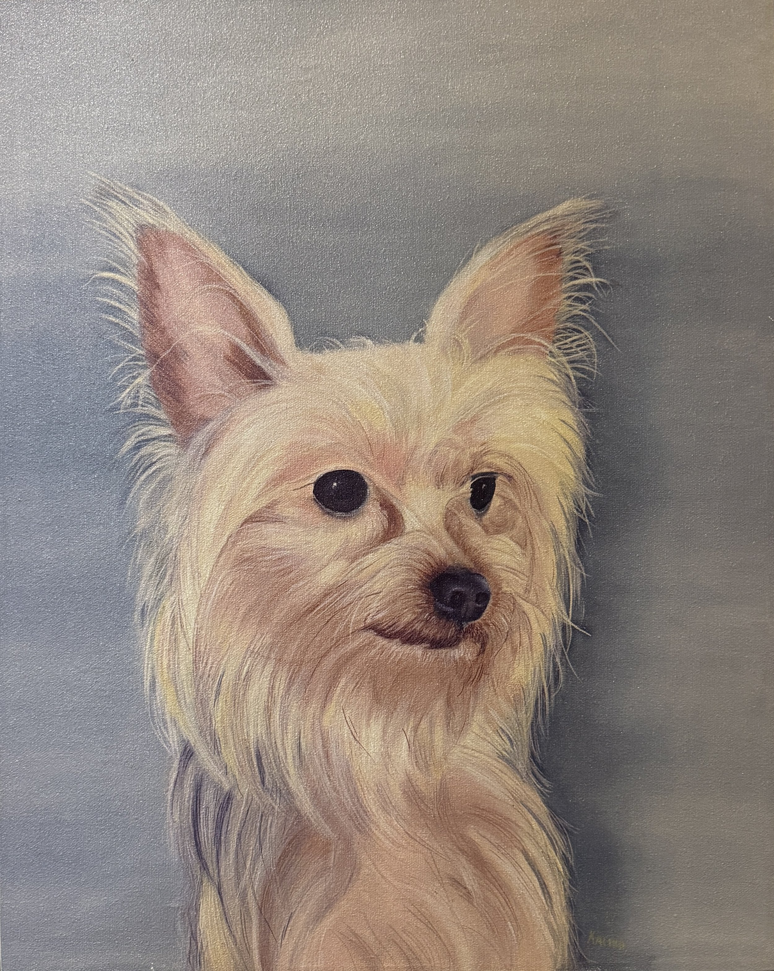 "Pooch" by Kalika Antao